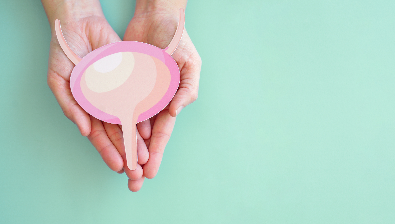 Menopause, Movement and Incontinence&nbsp;