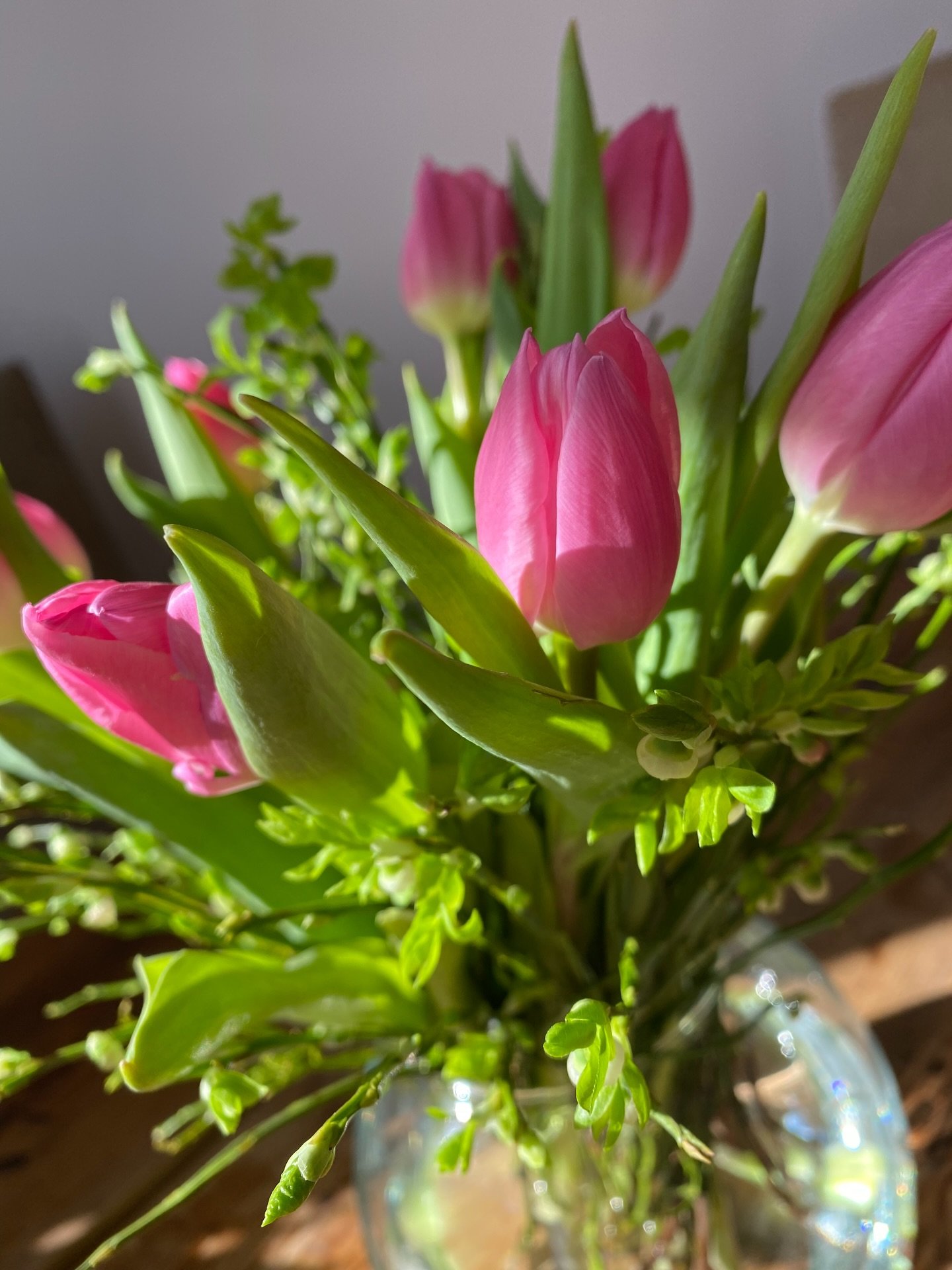 Ongi meie 7-p&auml;evane uue harjumuse v&auml;ljakutse tehtud! Ait&auml;h k&otilde;igile, kes osalesid!💪 N&uuml;&uuml;d tuleb ainult j&auml;tkata🔥

Kevade energia soodustab seda ja v&auml;idetavalt ei ole kuni maikuuni &uuml;htegi retrograadi ka, n