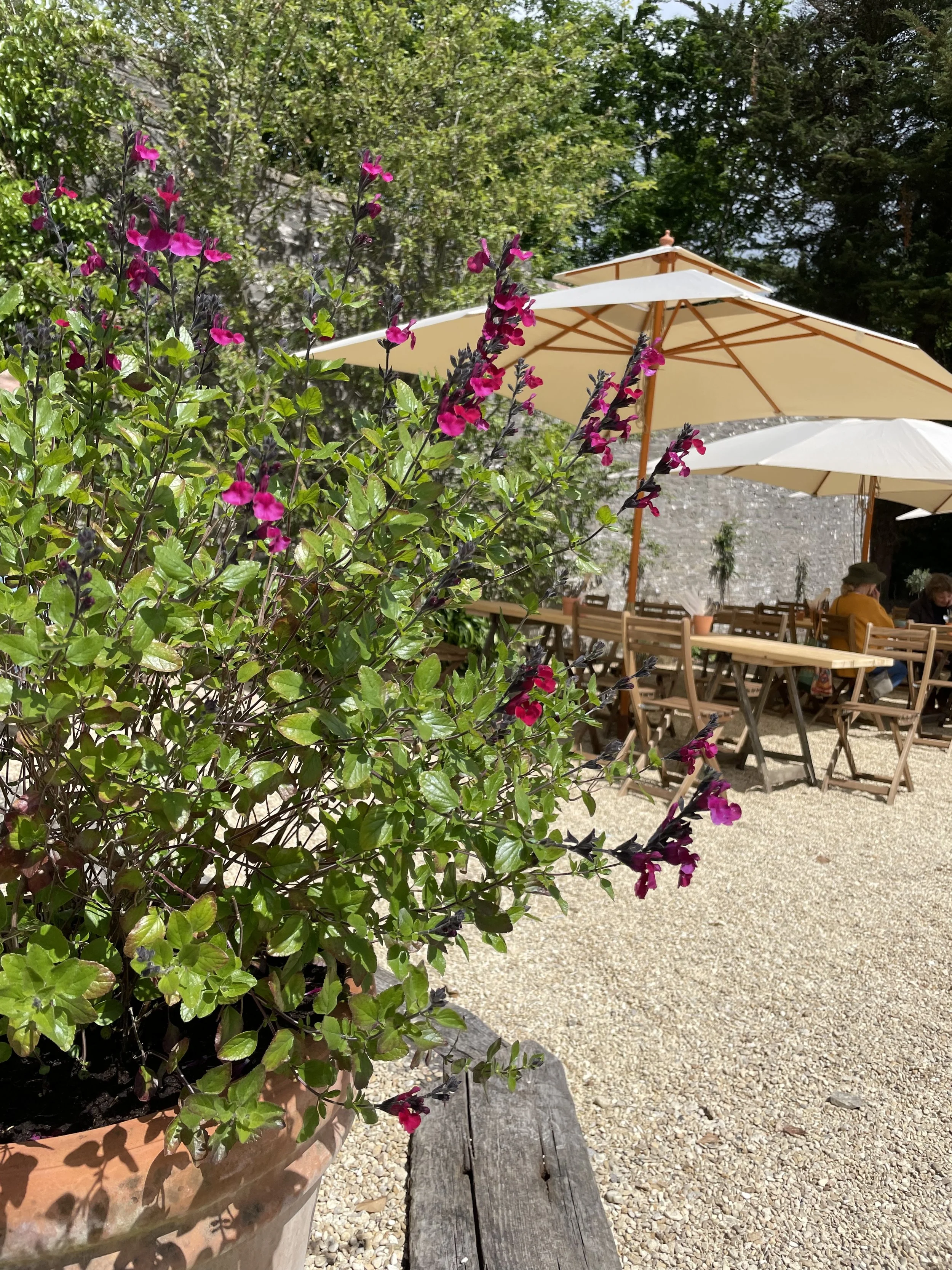 Four simple garden design tips to help you stay cool this summer