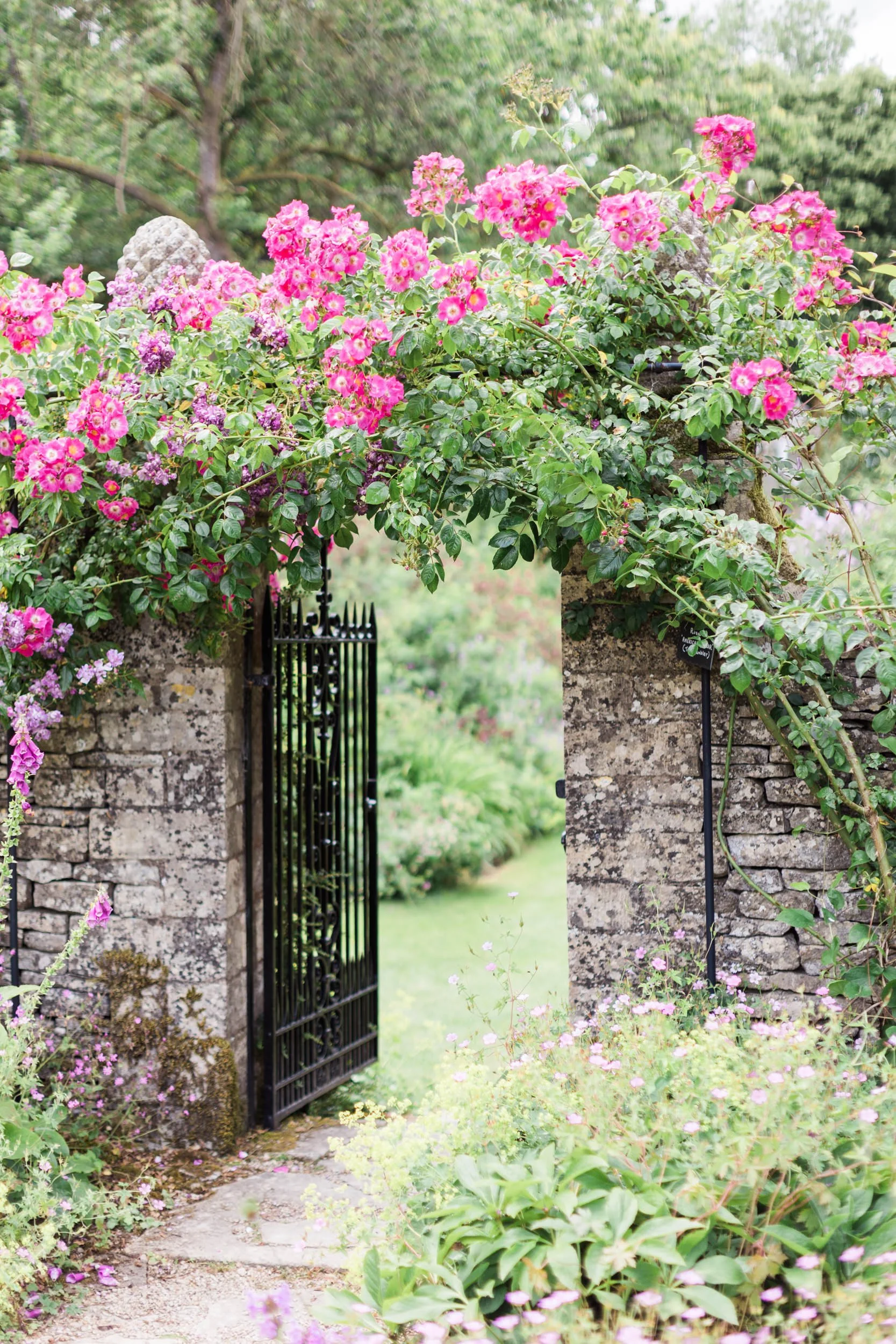 The 10 plants you need to achieve a cottage garden