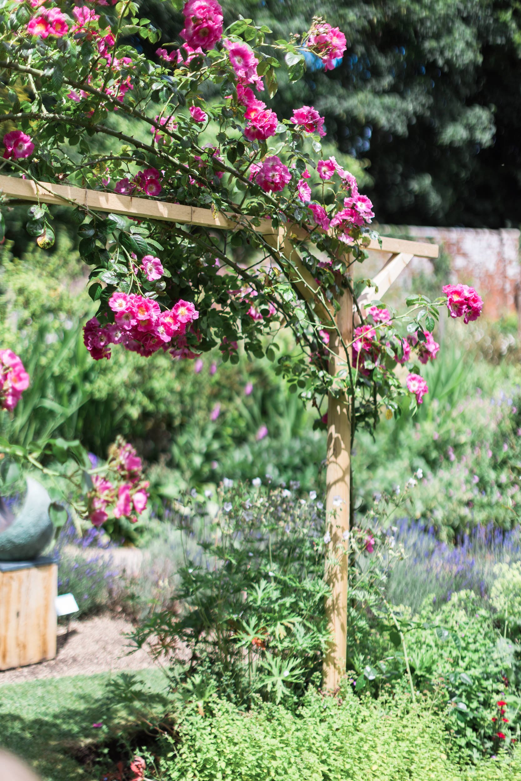 Why does my garden feel smaller than it really is?