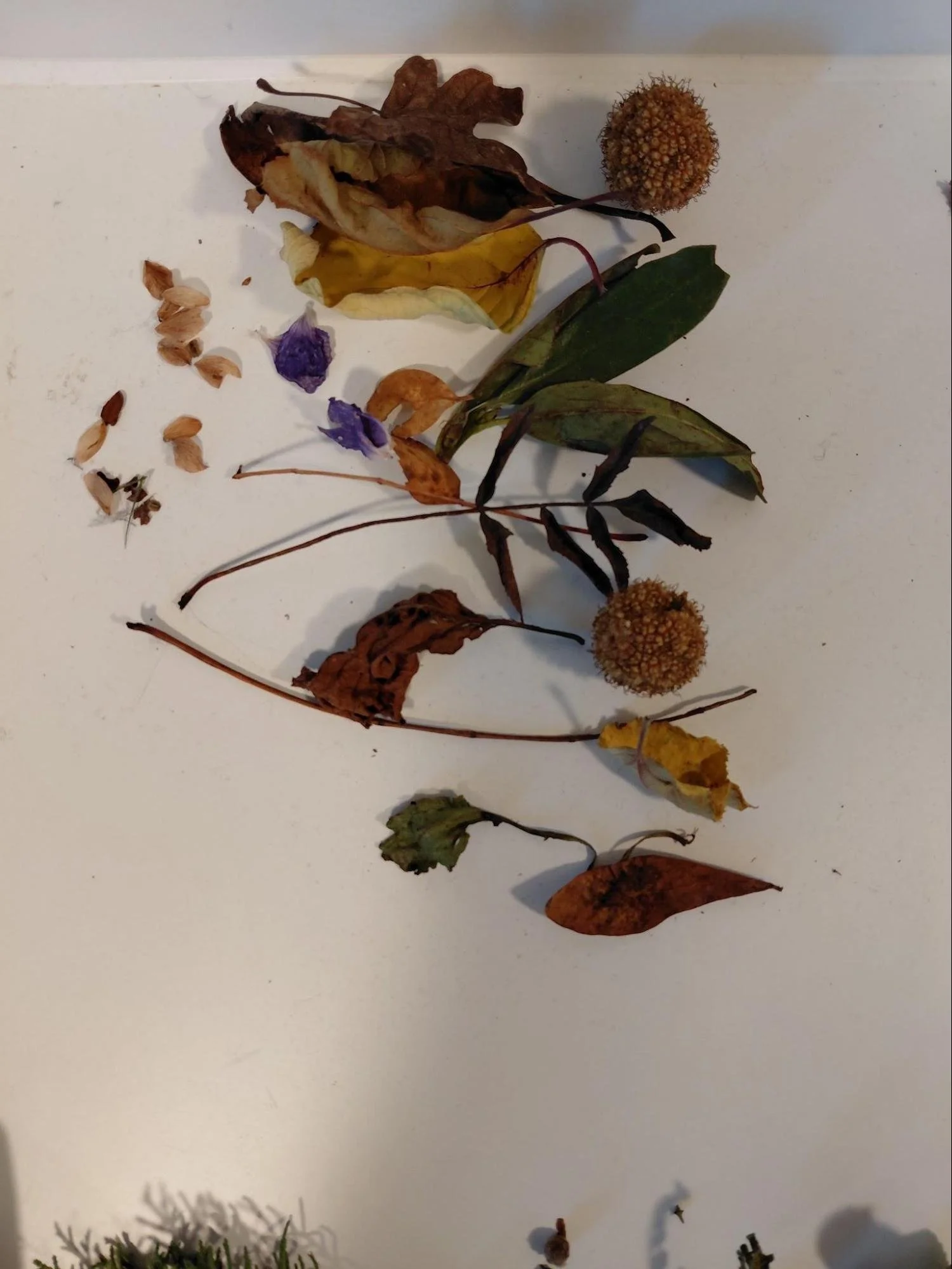 image13.jpg