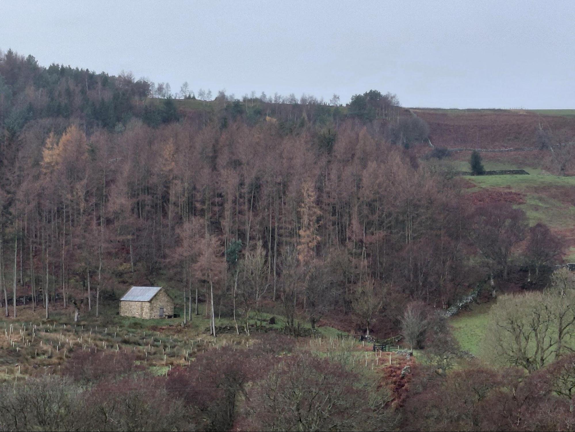 image5.jpg