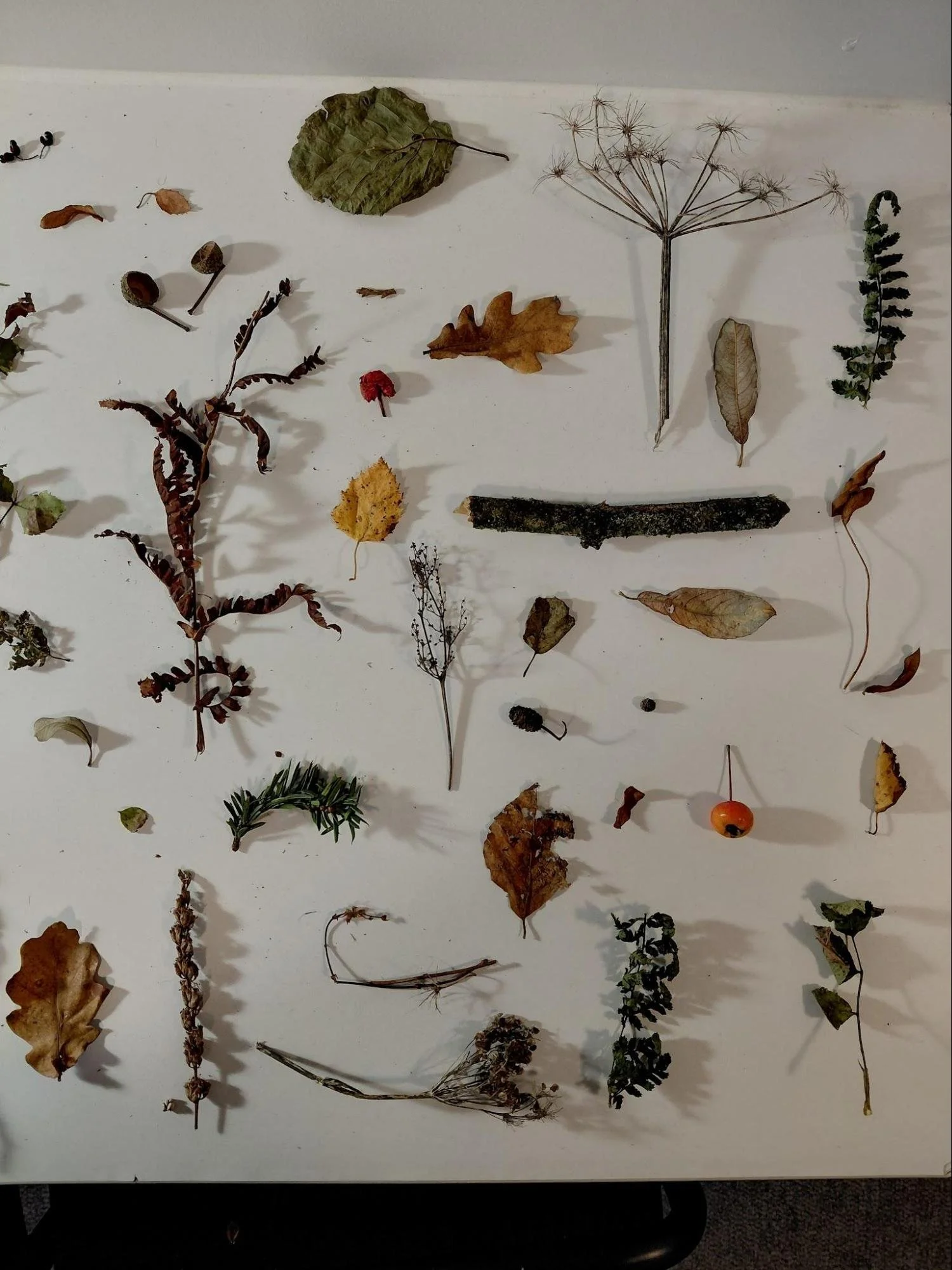 image12.jpg