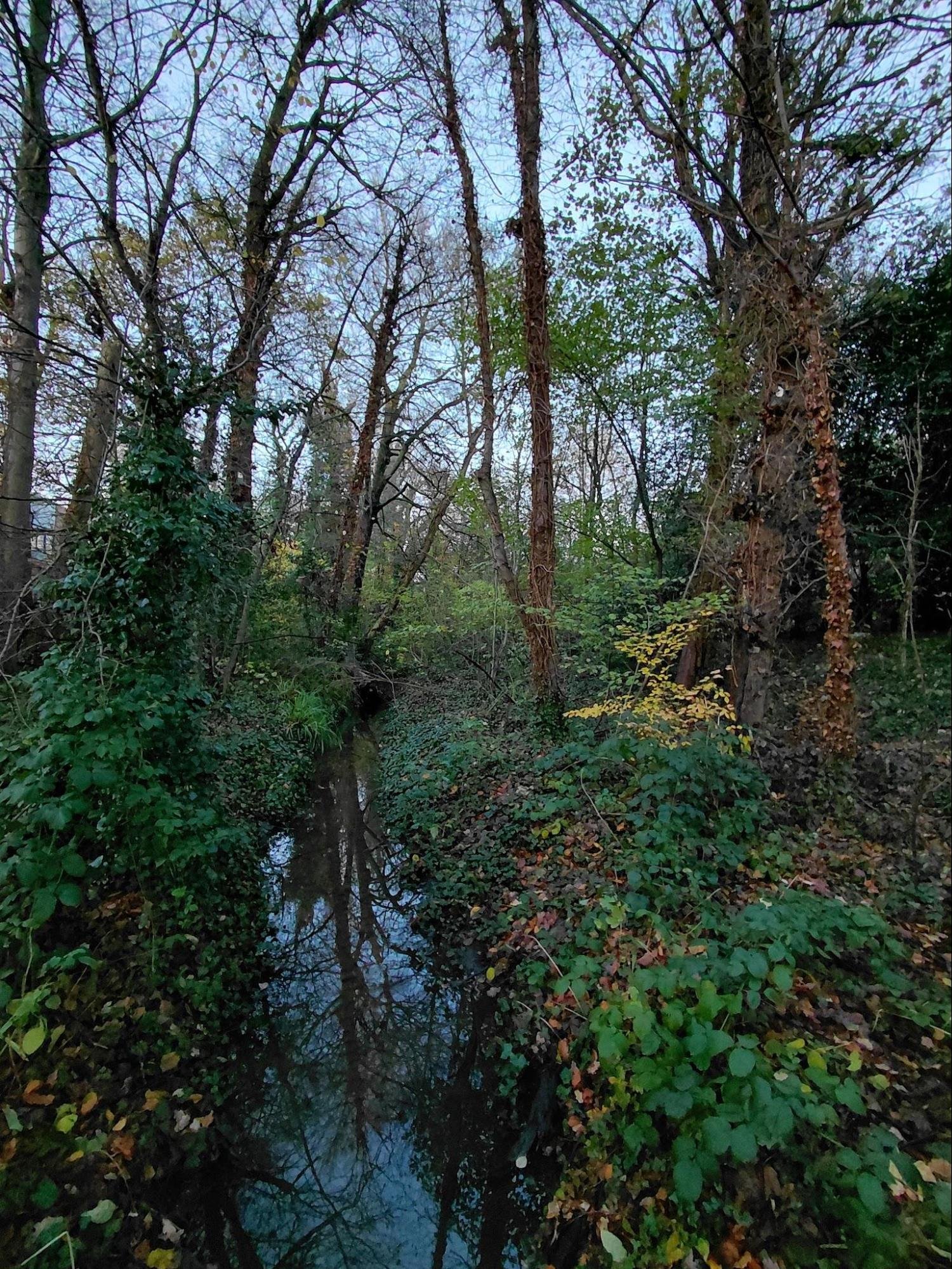 image7.jpg
