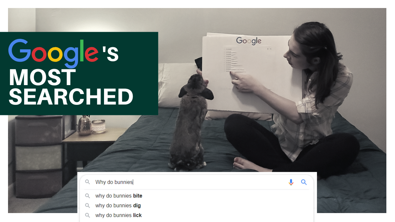 Youtube Thumbnail for Juni Bunz