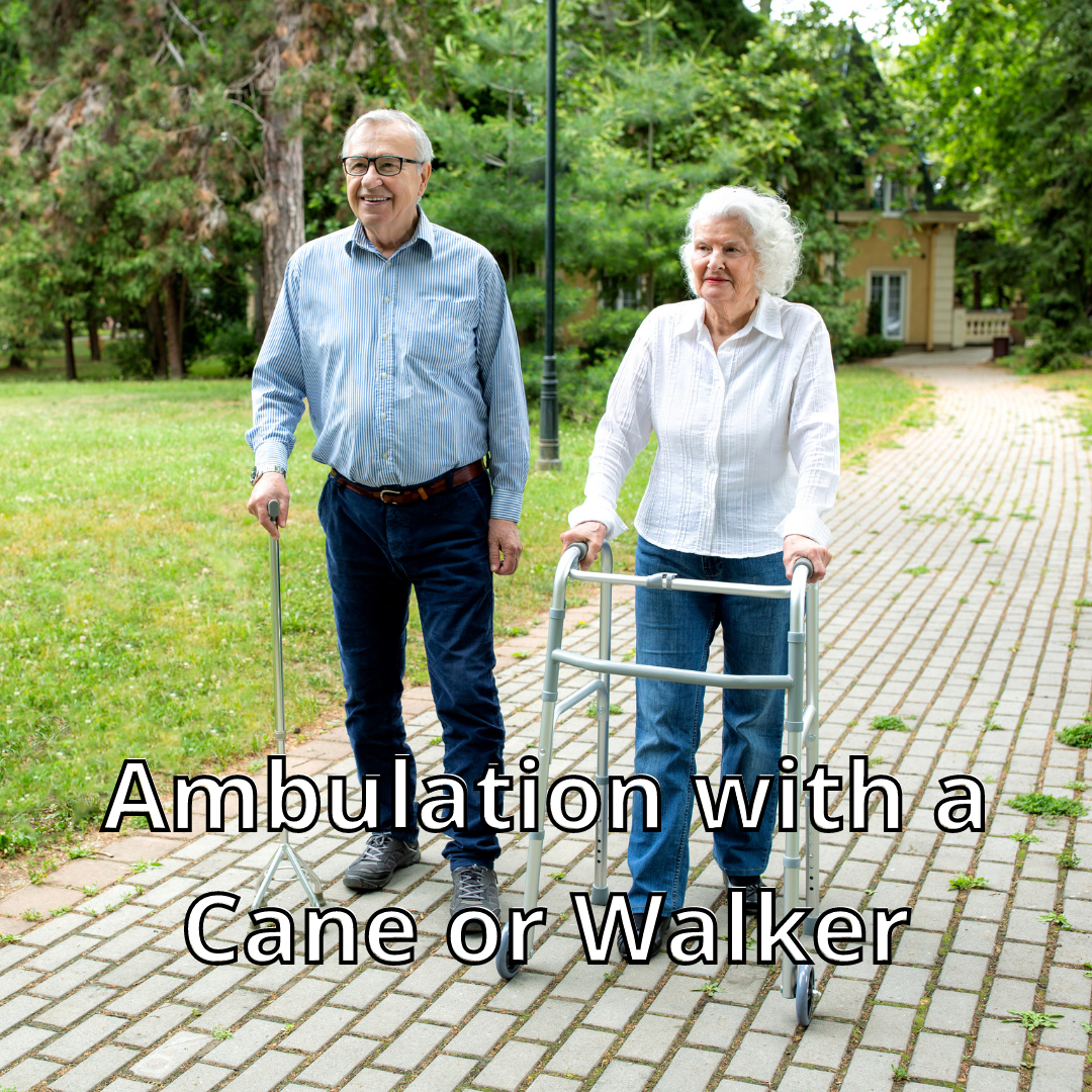 Ambulation with a Cane or Walker - Rise360 Course