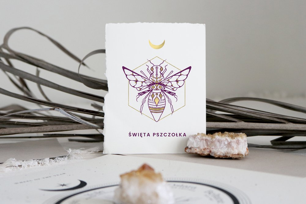 cosmic+suzy+bee+logo.jpg
