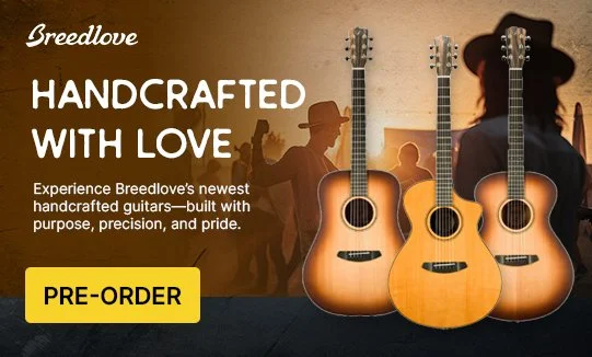 Breedlove_HP2C.jpg