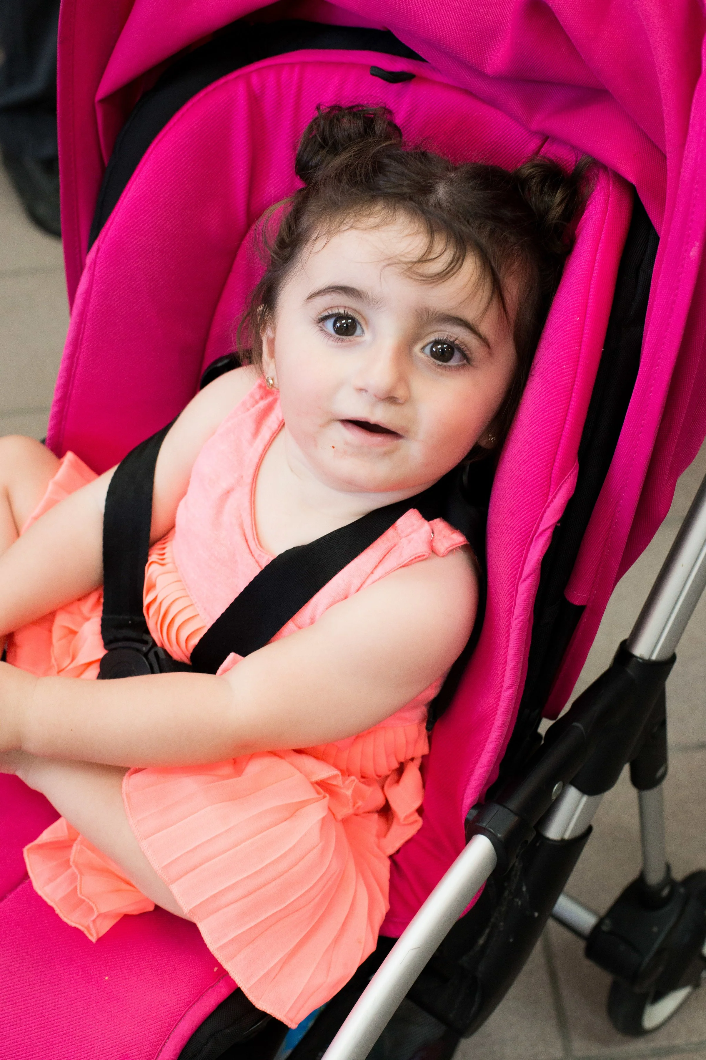 the_torah_academy_27of241_33072220475_o.jpg