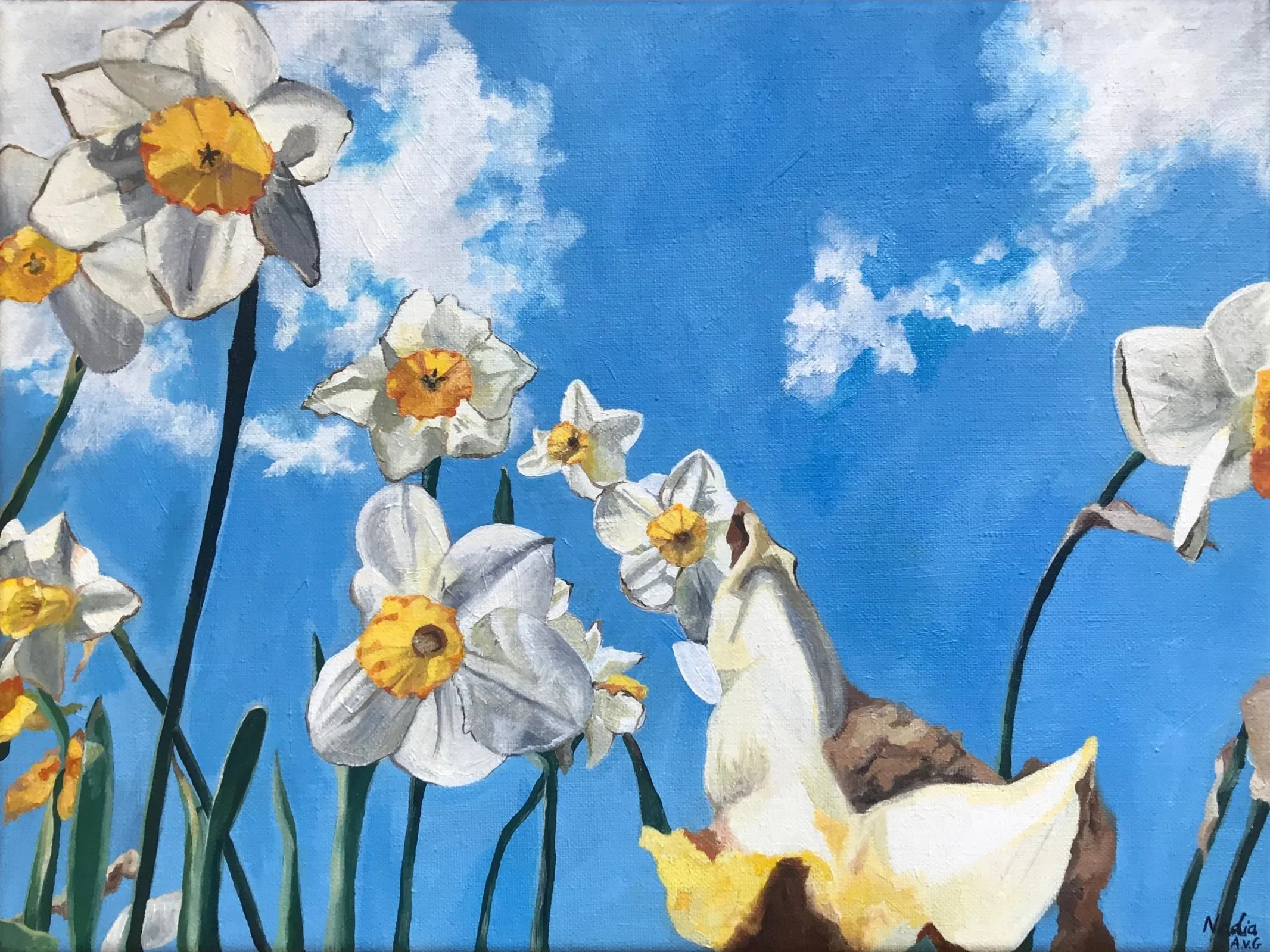 "Reigning Daffodils", oil on canvas, 30x40 cm. SOLD