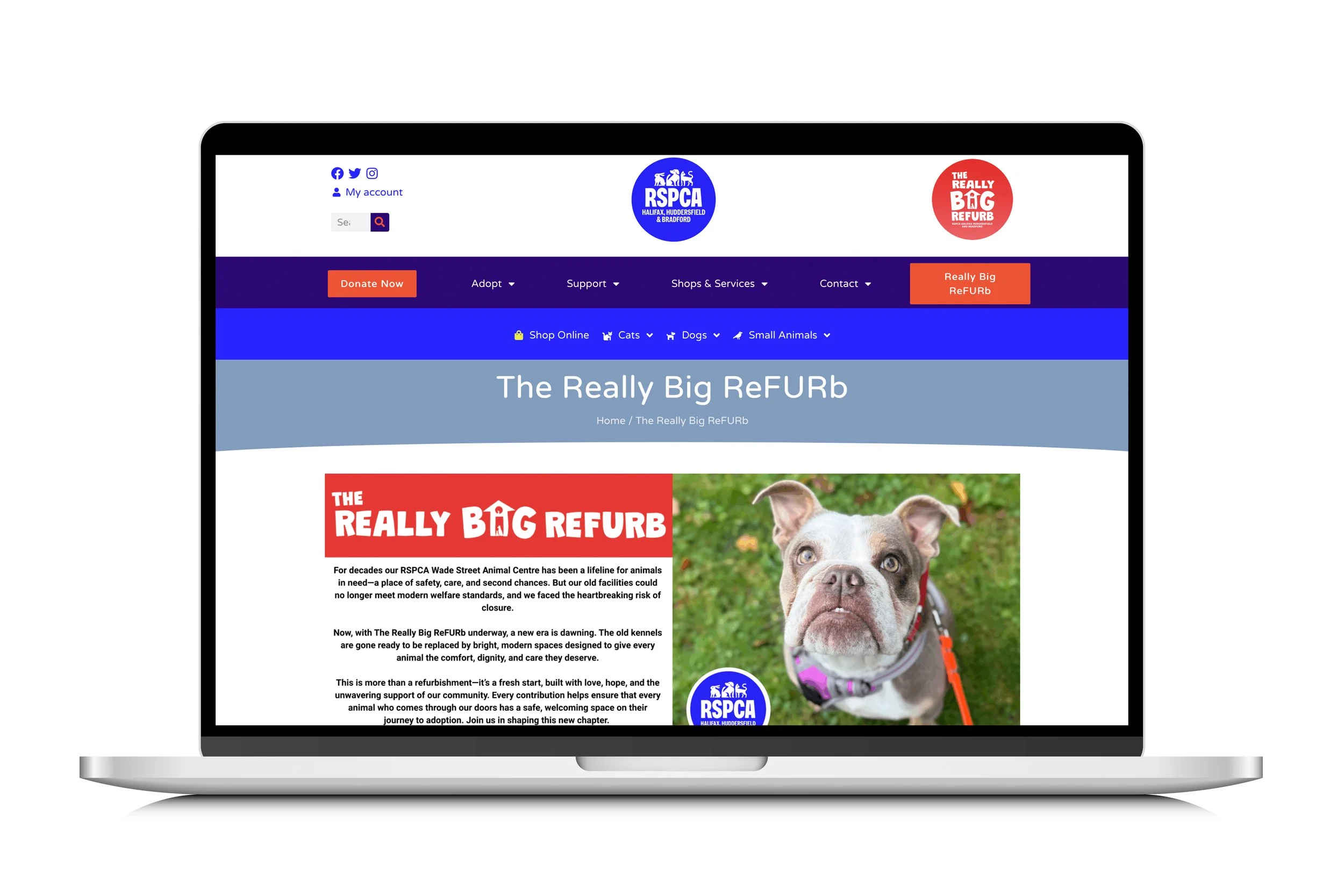 computer mock up.jpg