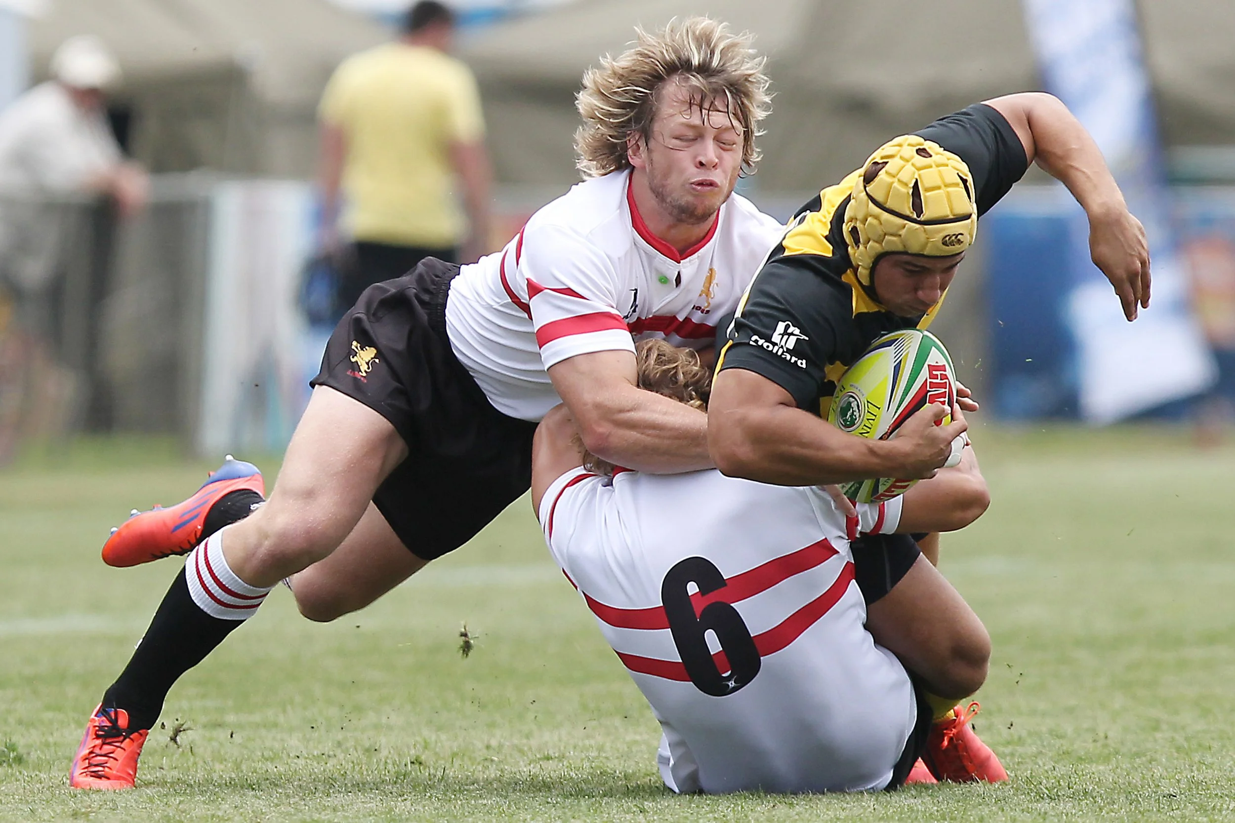 The Contact Sport Brain: What the Evidence Actually Says (And How to Protect Yours)