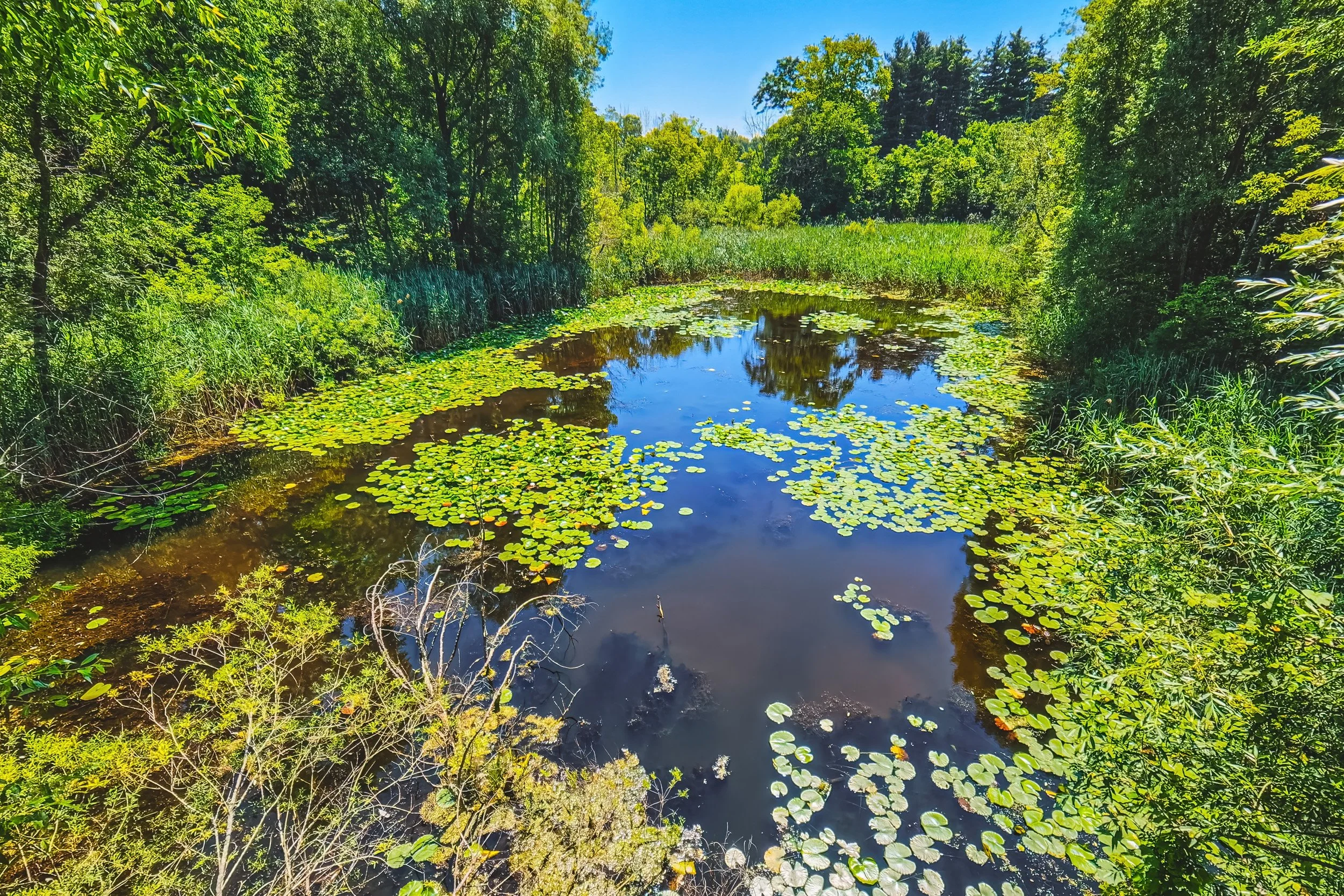 68 - 1548 Mineral Springs Rd, Ancaster.jpg