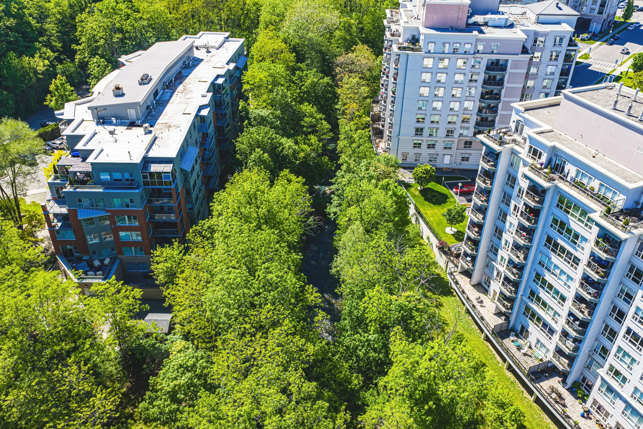 35 - 1000 Creekside Dr #204. Dundas.jpg