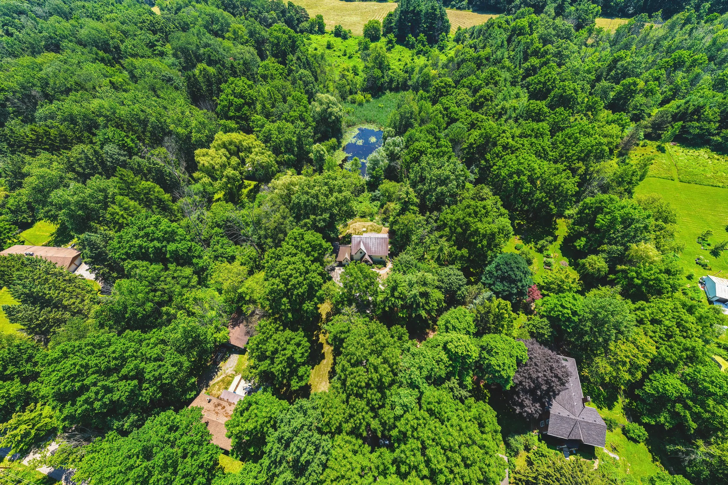 4 - 1548 Mineral Springs Rd, Ancaster.jpg