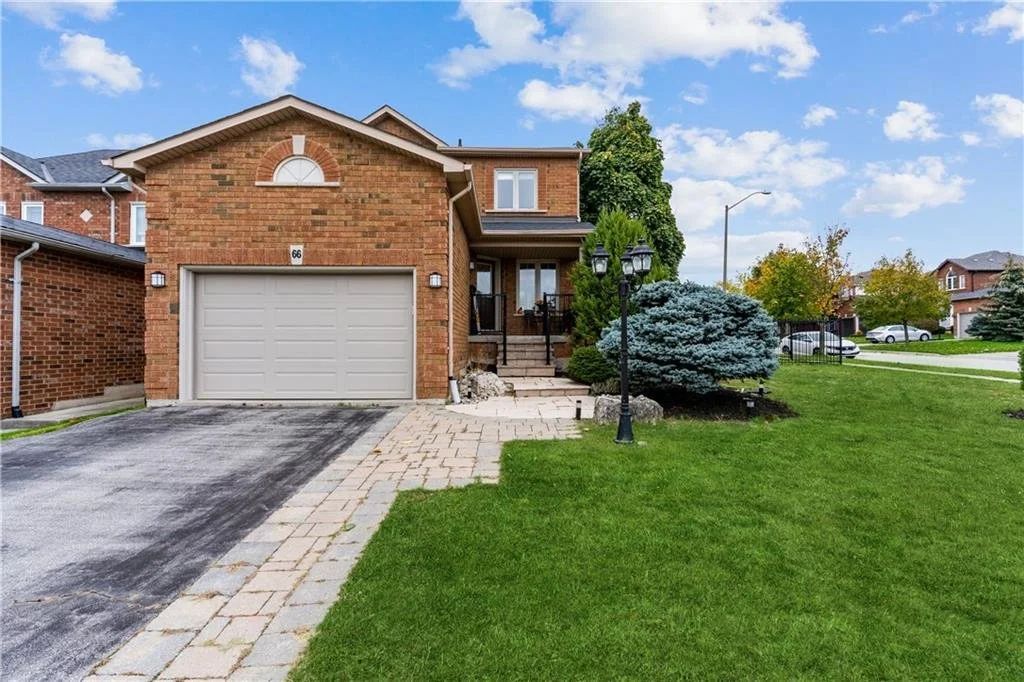 66 Hollybush Drive, Hamilton
