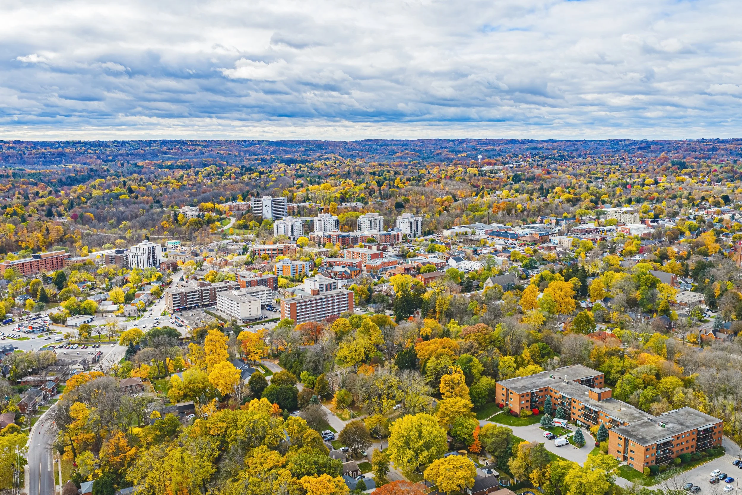 41 - 13 Delsey St, Dundas.jpg