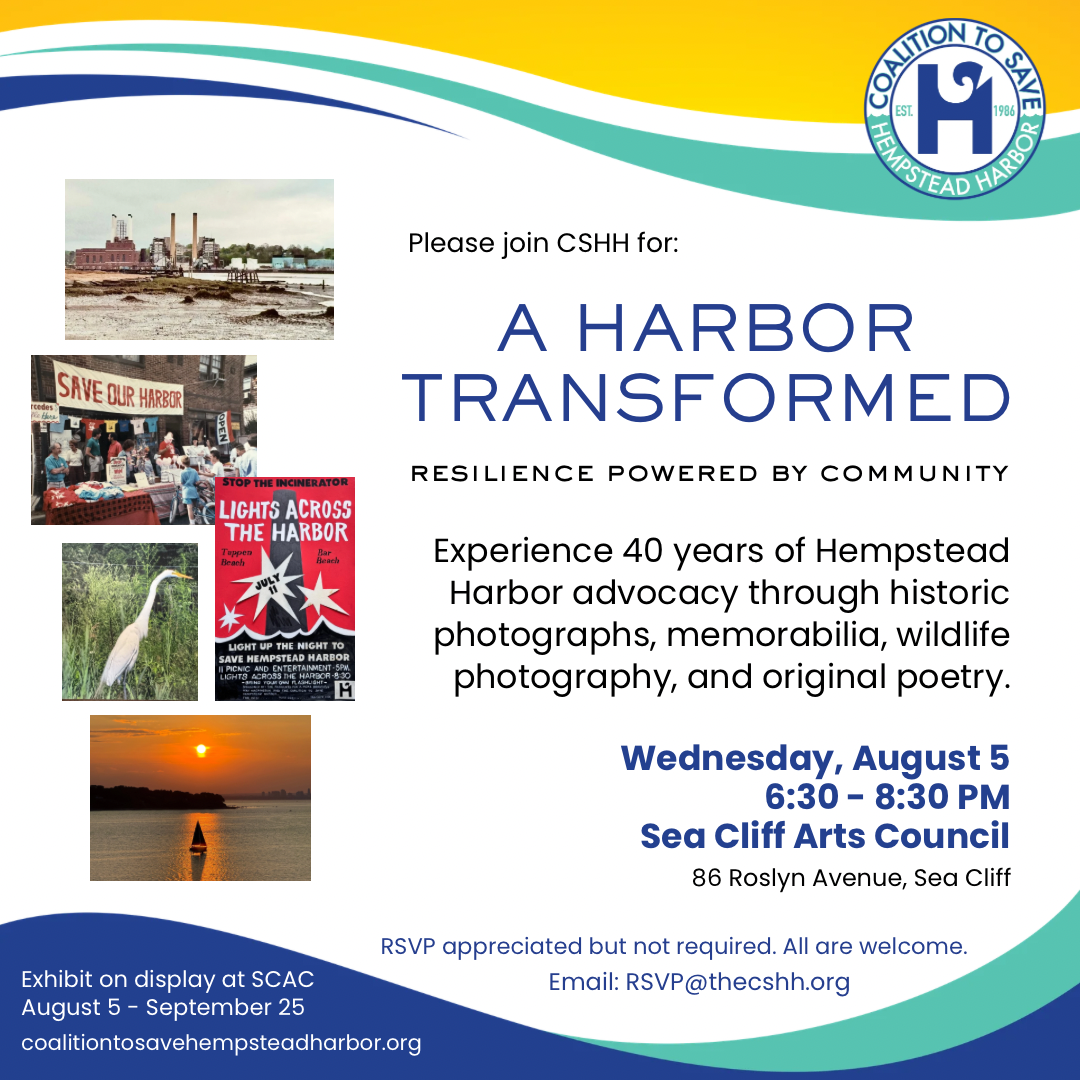 A Harbor Transformed Gallery Exhibit  — 8/5/26