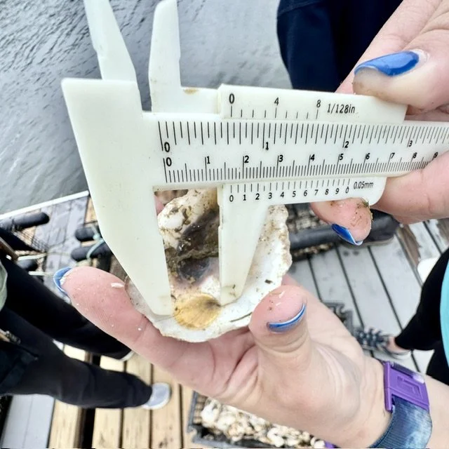measuring sos 7.7.26 SL.jpg