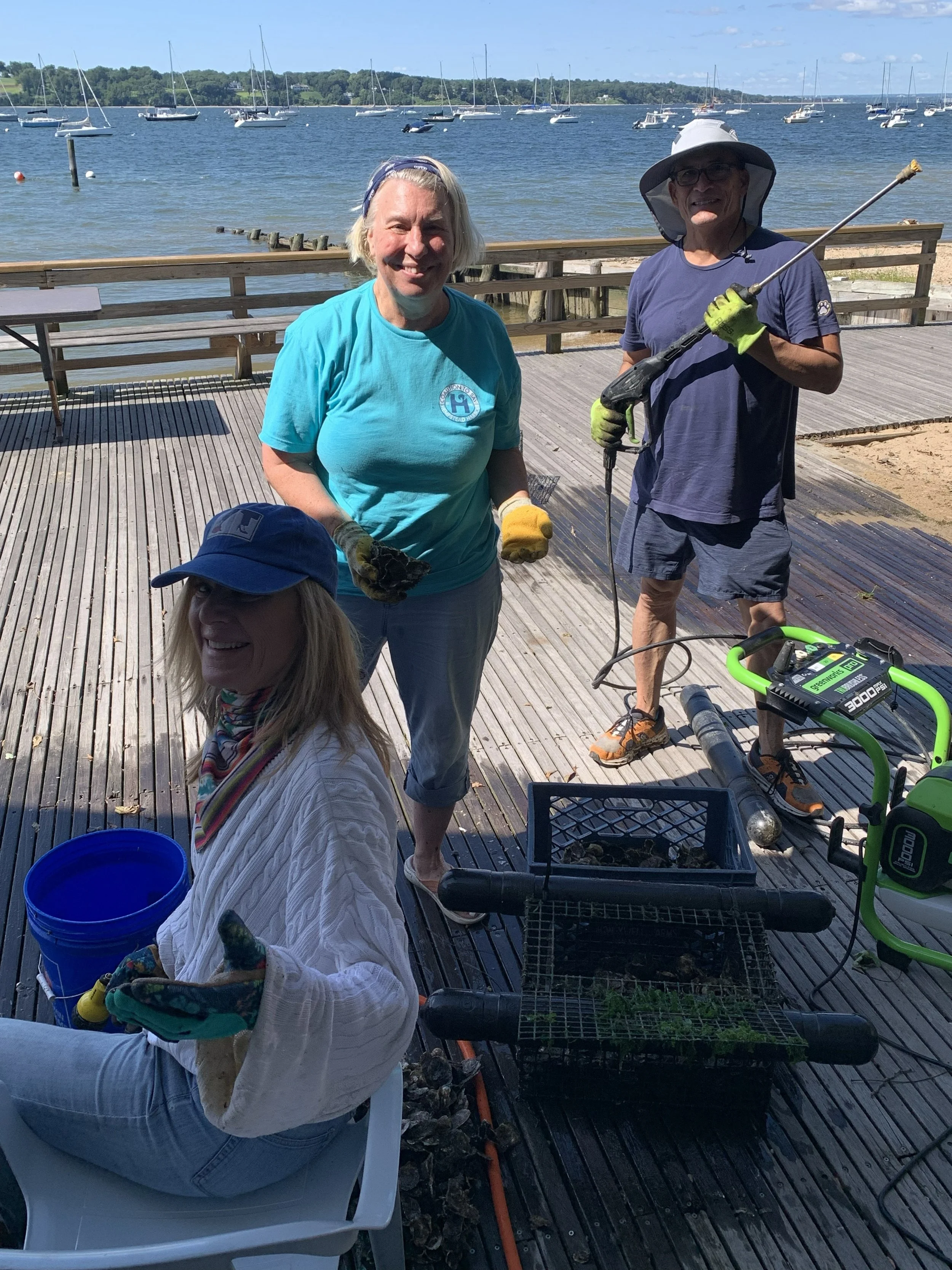 oyster planting vols HHC 9.14.26 TM.jpg