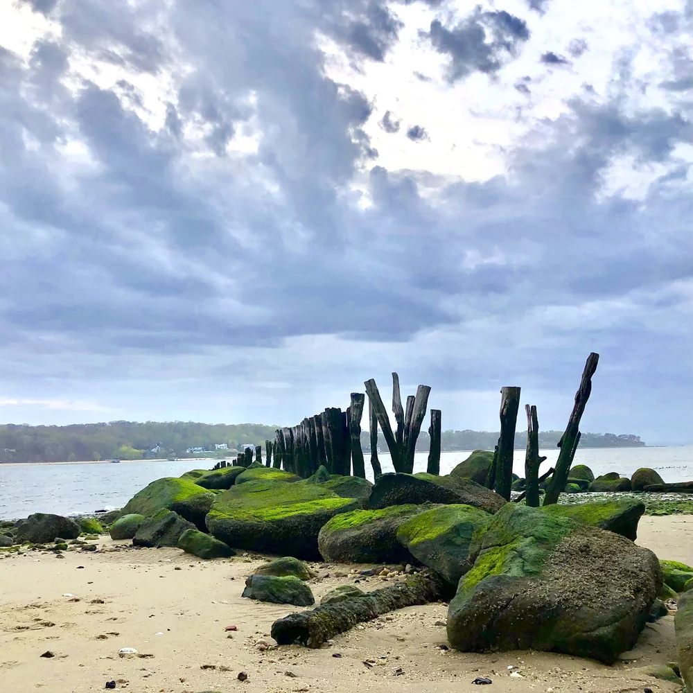 Water Quality — Coalition to Save Hempstead Harbor