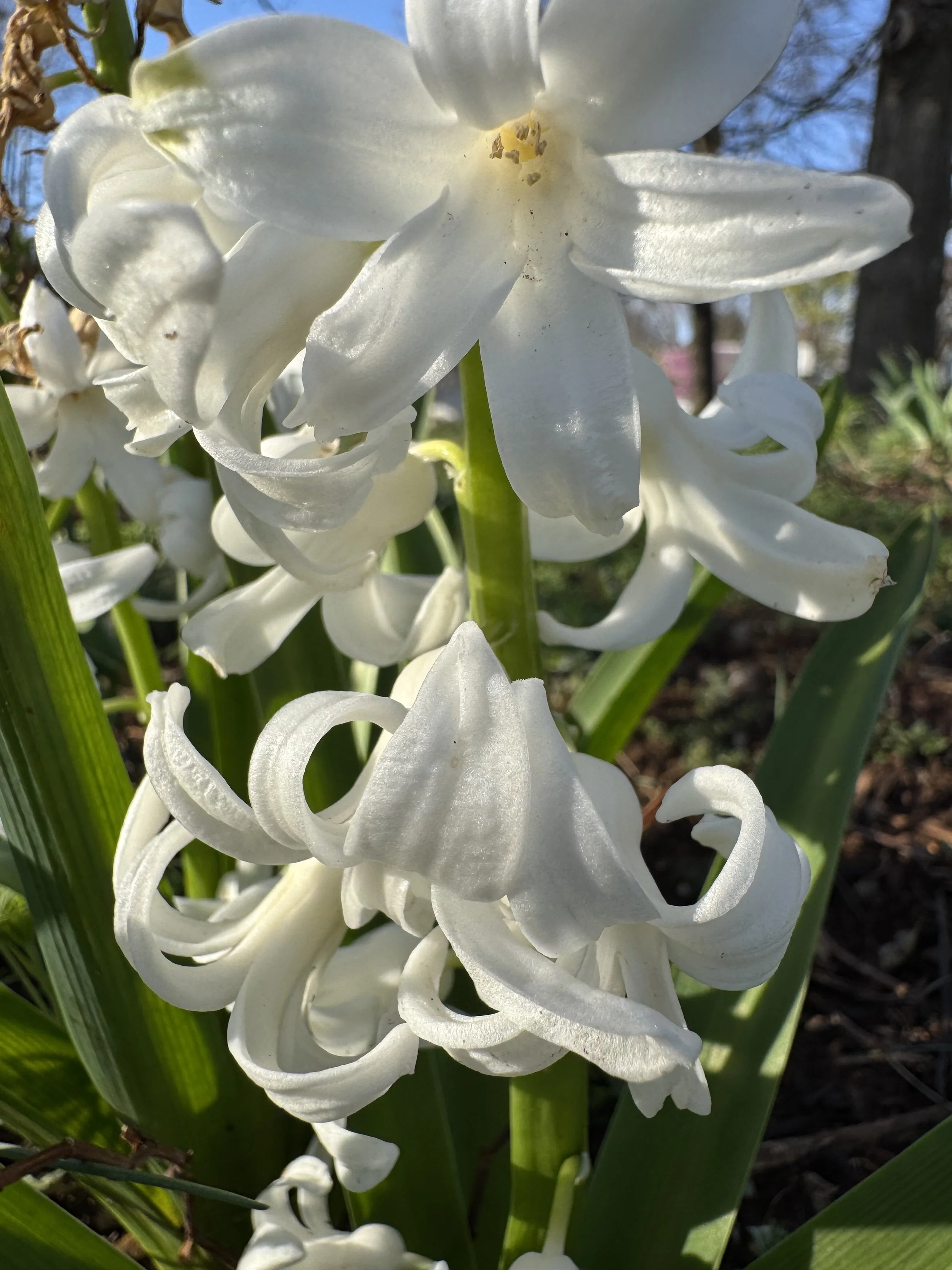 Finding Balance in an Unpredictable Season