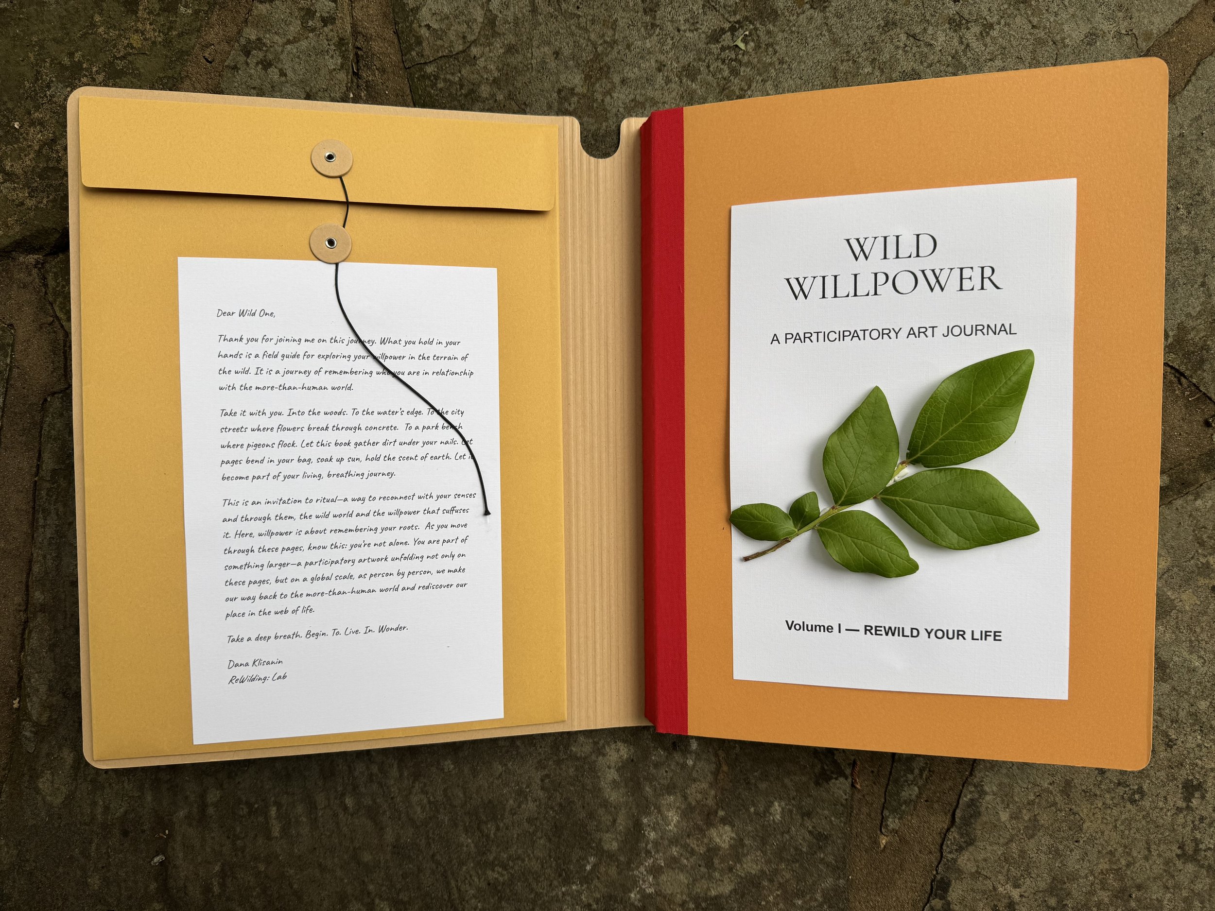 Wild Willpower Participatory Art Journal