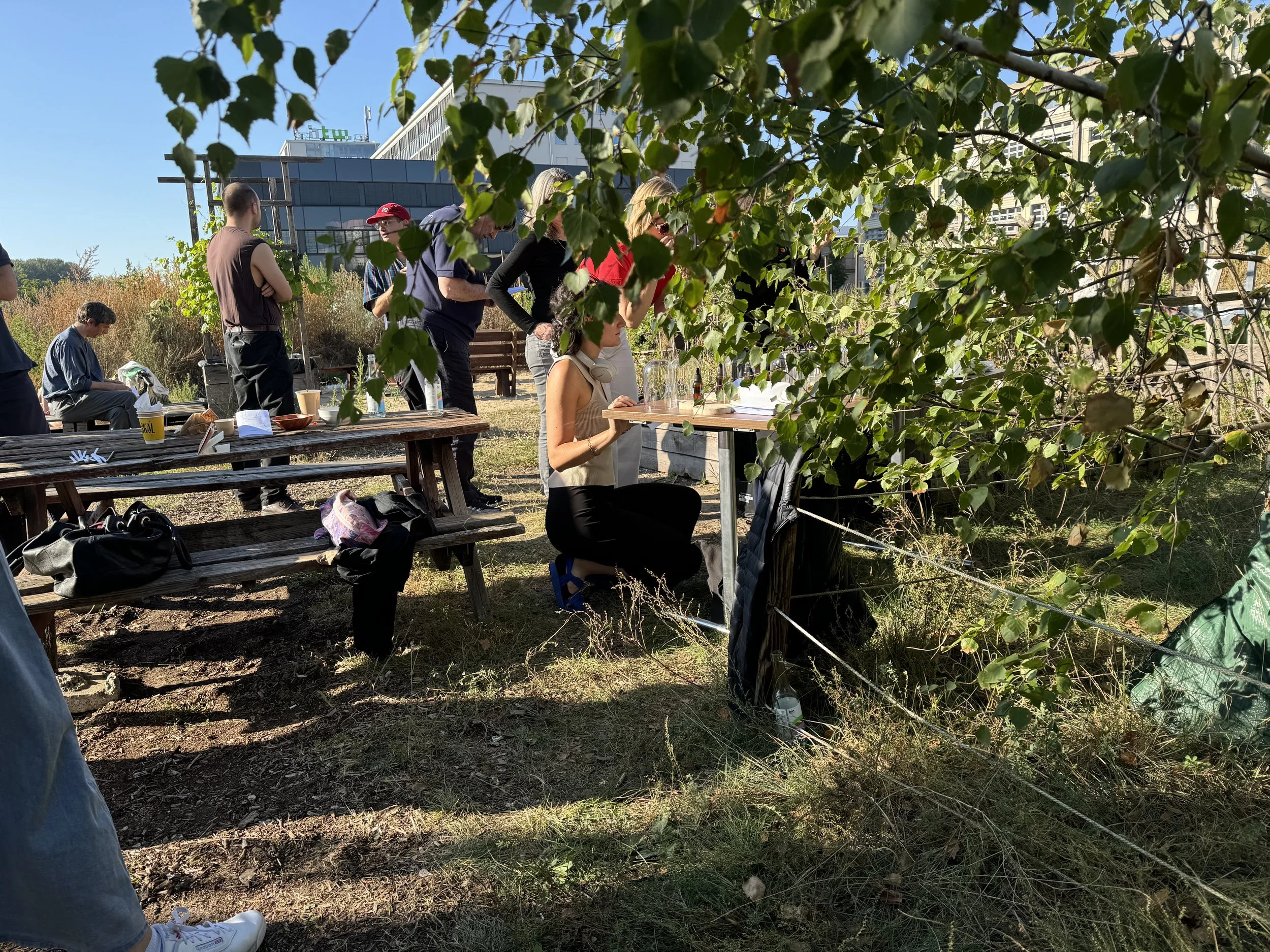 People gathered outdoors in a garden setting on a sunny day, with some sitting at picnic tables and others standing nearby. A tree with green leaves partially obscures the view. The scene includes various items like bags and bottles on the tables.