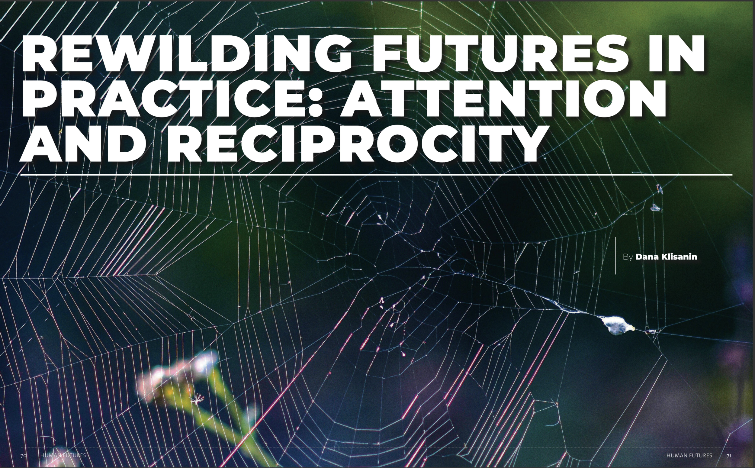 Rewilding Futures article image