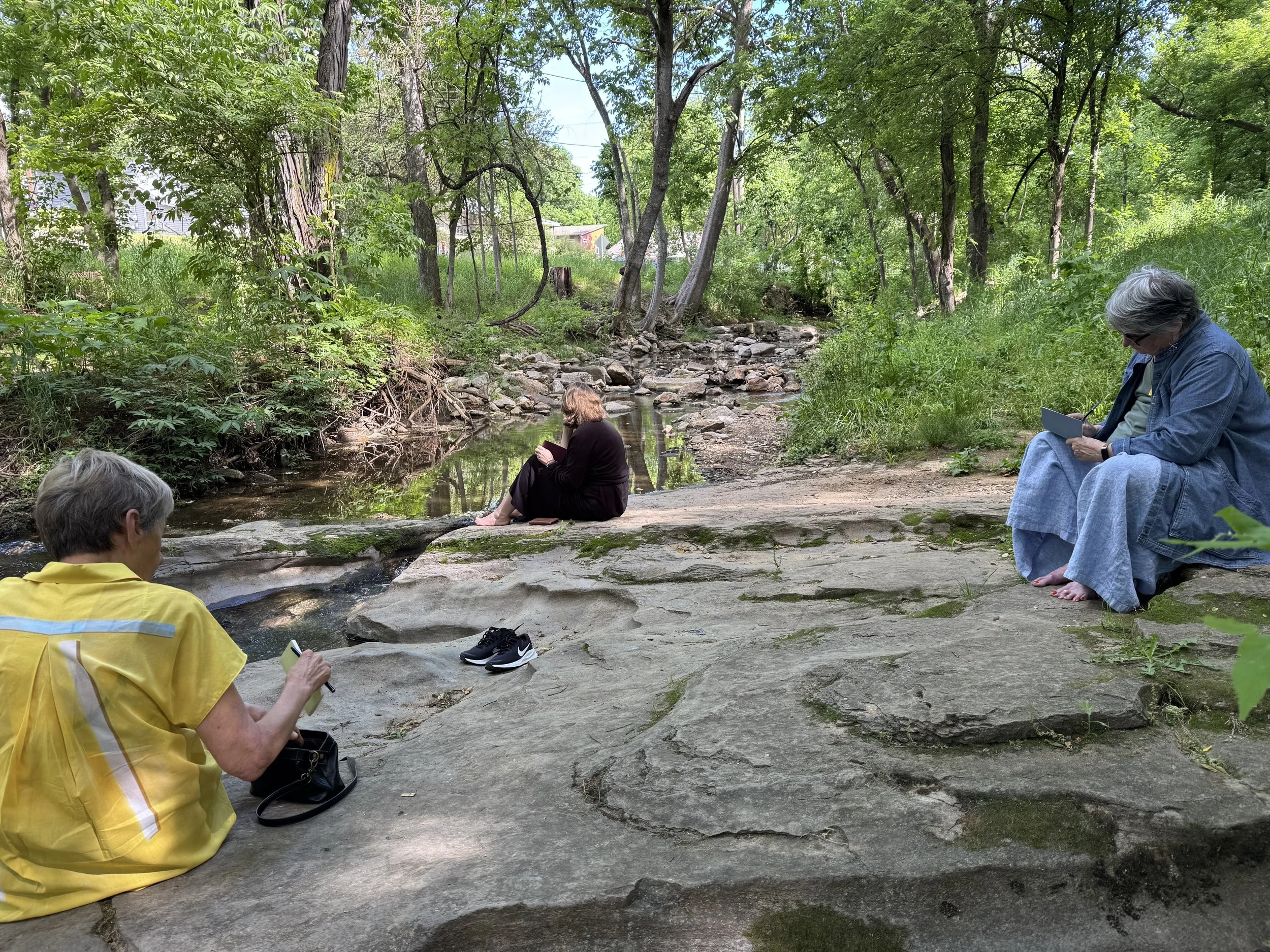  Wild Willpower Workshop | ReWilding: Lab | The Ramble | Fayetteville, AR 