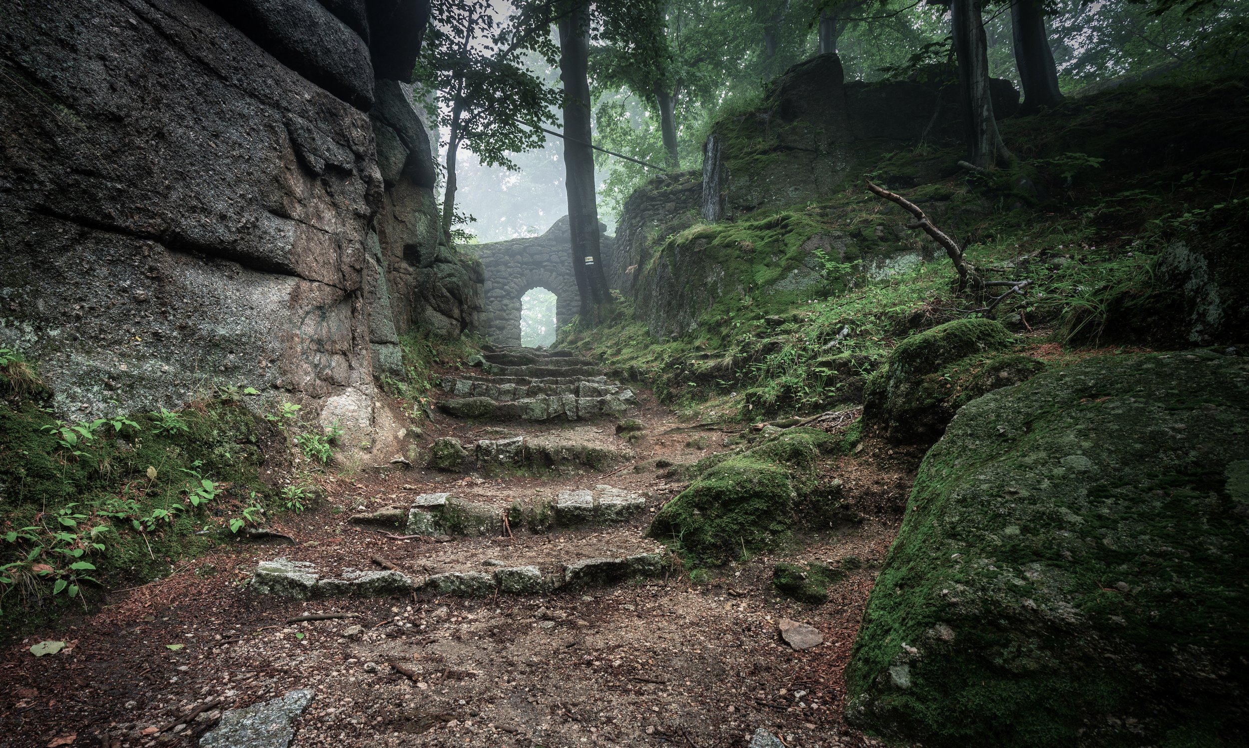Mossy forest path with stone stairs and arched doorway