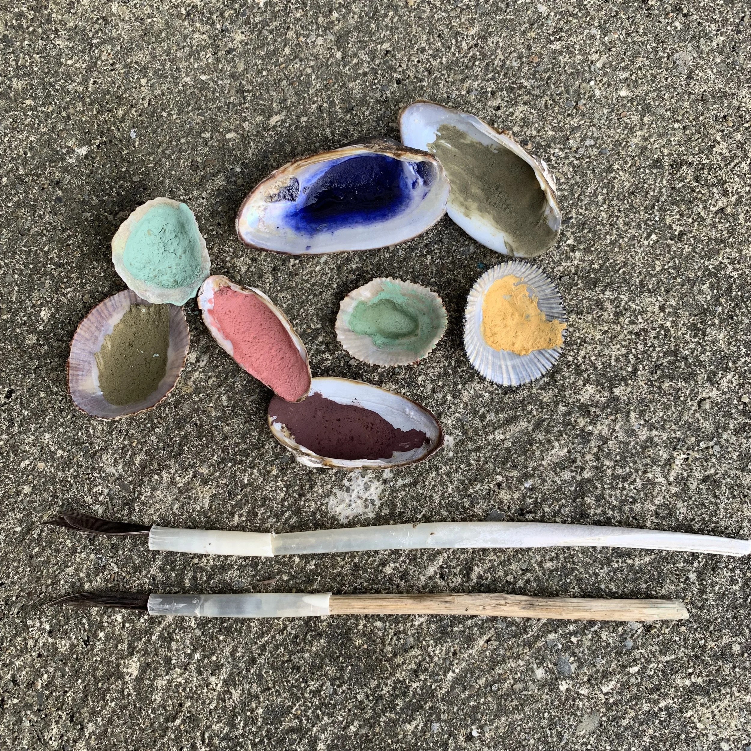 Various natural pigments in seashells on a concrete surface with two paintbrushes placed below them.