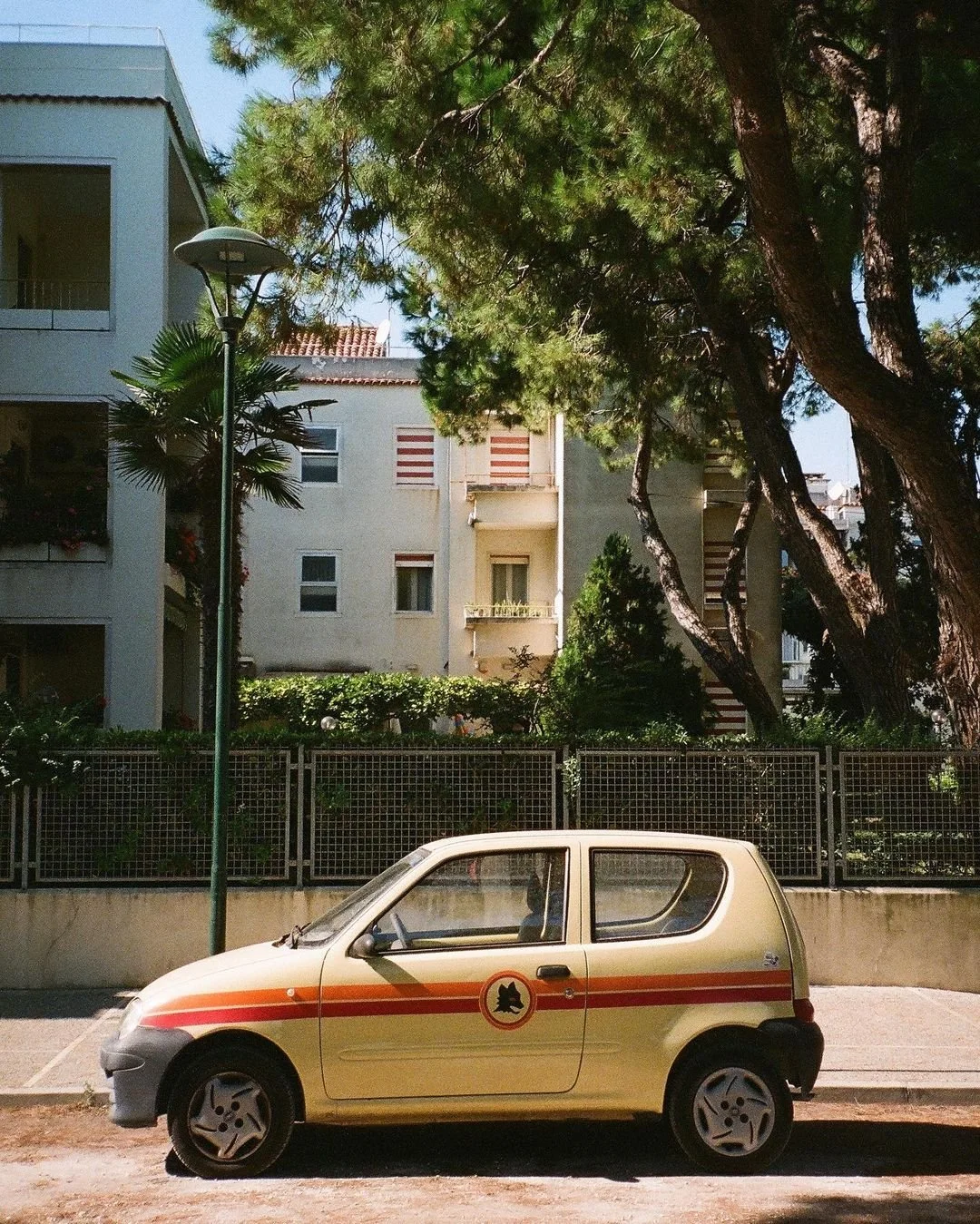 270209234_253415200085903_5339089959644768887_n (1).jpg