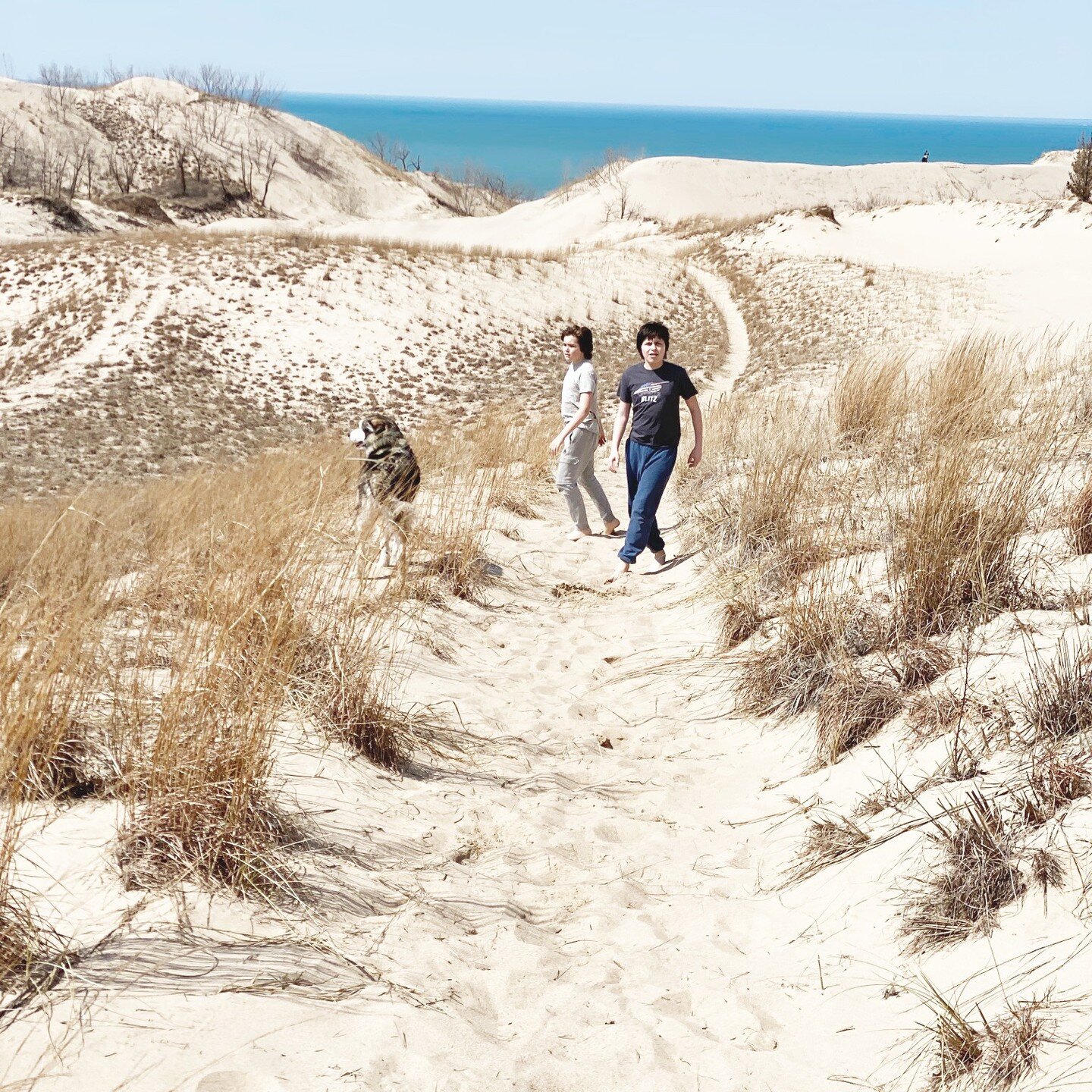 SOL HAUS is 5 minutes from famous Warren Dunes State Park. Hiking the sand dunes will take your breath away. BOOK SOL HAUS NOW. #solhausretreat #solhausmichigan #summervacation #puremichigan #bluefishvacations #hygge #harborcountrymichigan #southwest