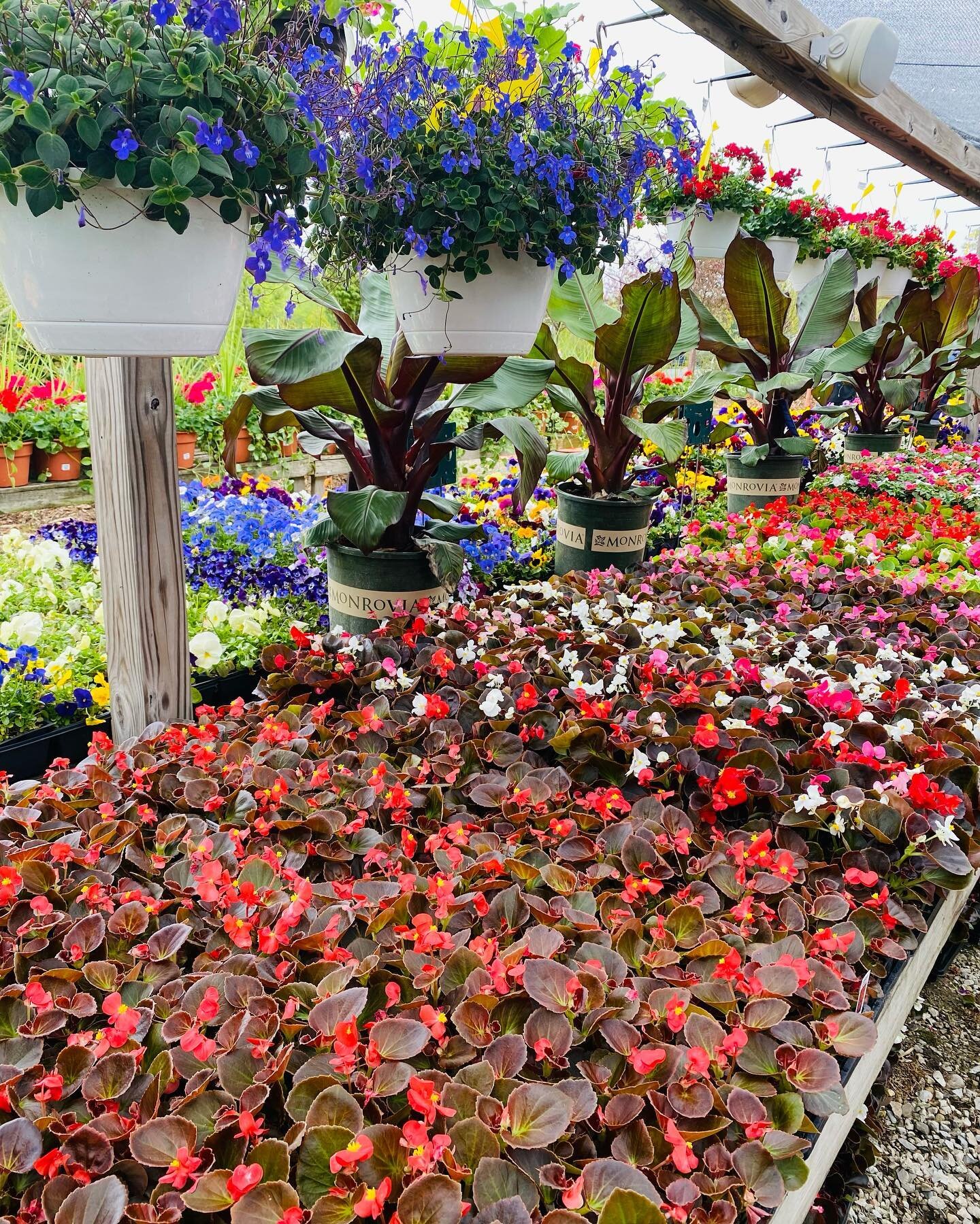 Happy Mother&rsquo;s Day weekend from Sol Haus! Spring planting in full swing. Sawyer garden center never disappoints. #solhausmichigan #solhausretreat #unionpier #harborcountrymi #puremichigan #sawyergardencenter #mothersday #springplanting #michiga