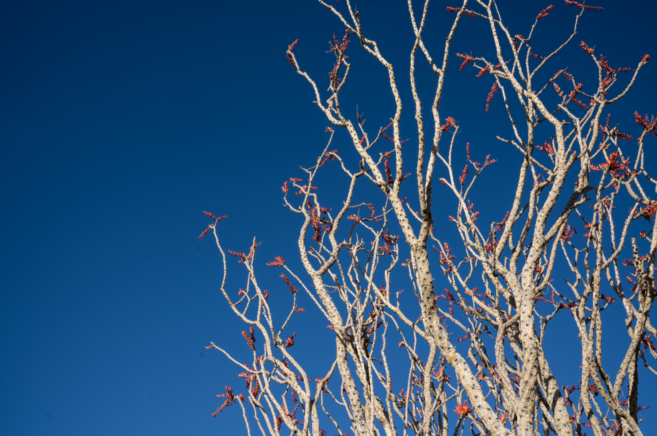 Screen Shot 2022-09-29 at 10.07.37 PM.png