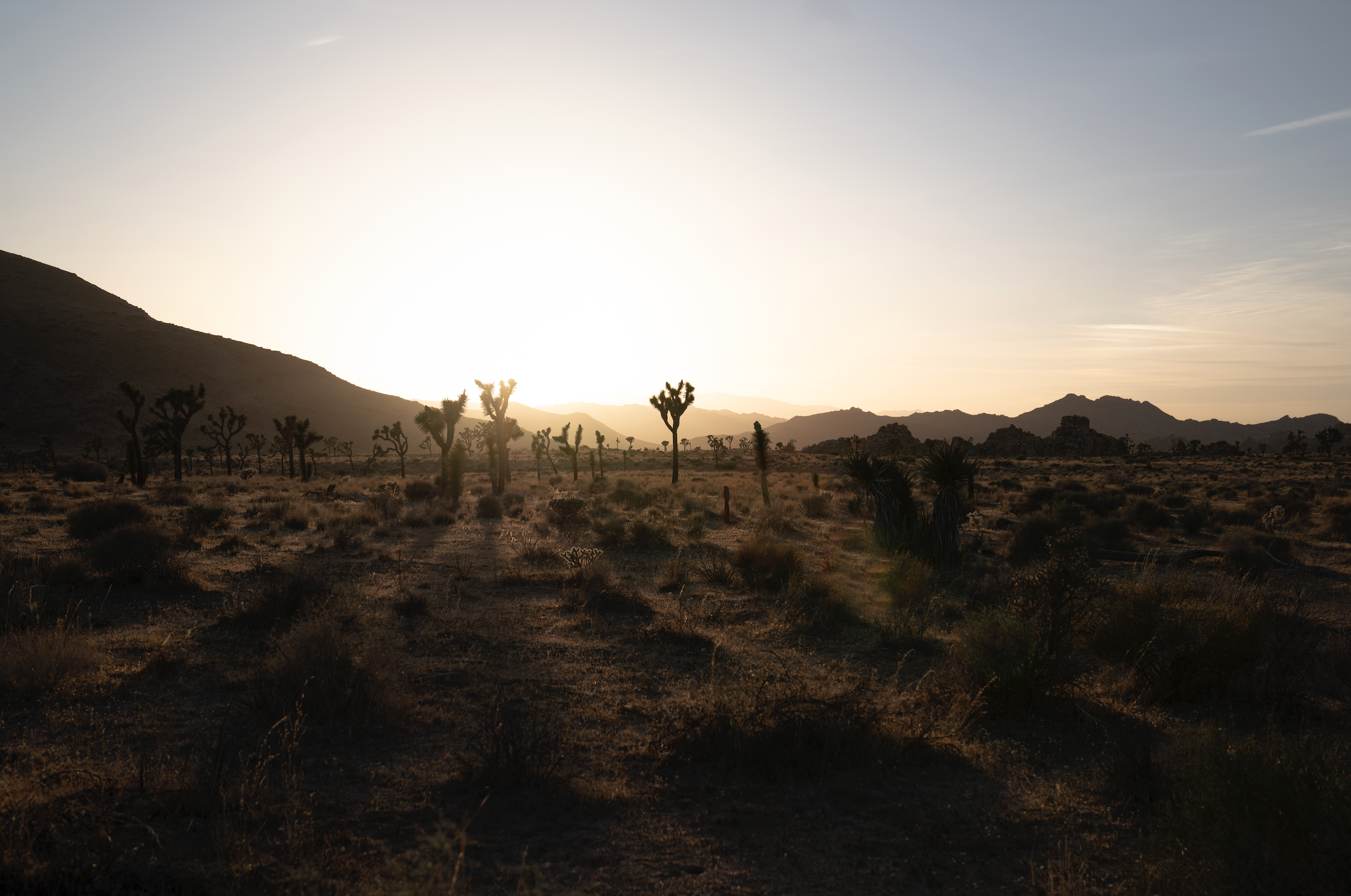 Screen Shot 2022-10-26 at 11.29.19 AM.png