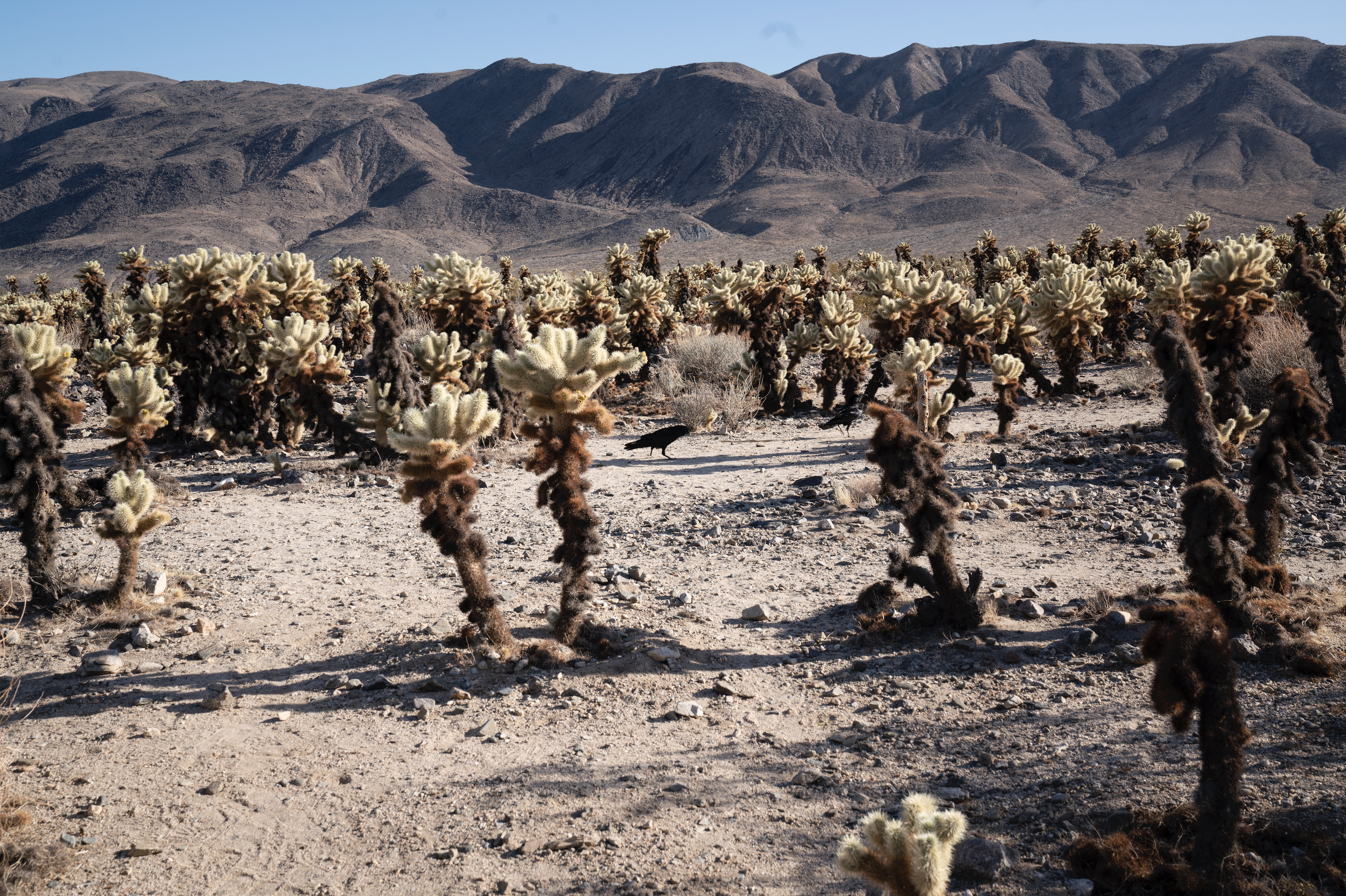 Screen Shot 2022-09-21 at 2.59.58 PM.png