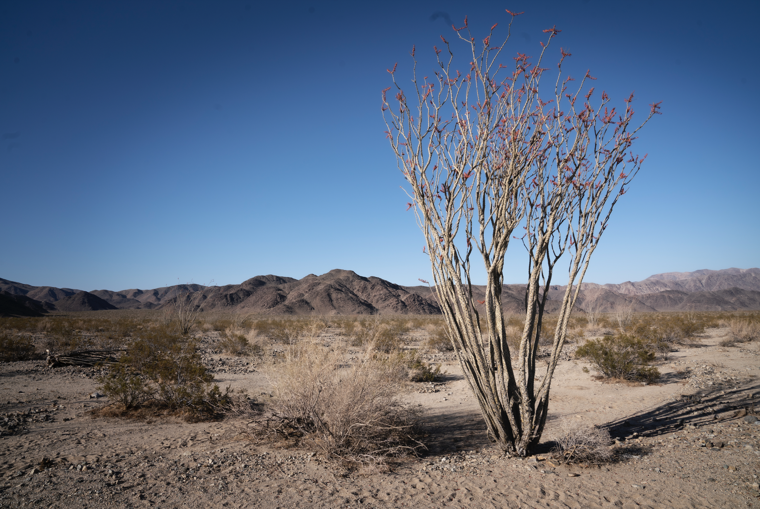 Screen Shot 2022-09-21 at 2.59.34 PM.png