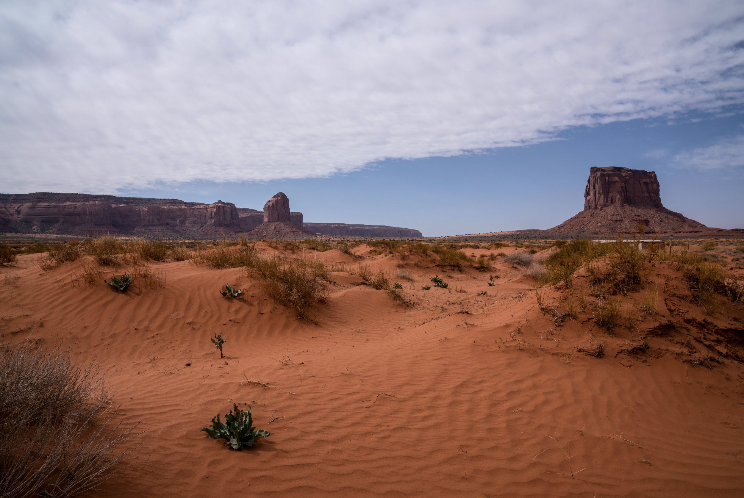 Screen Shot 2022-09-21 at 3.02.07 PM.png