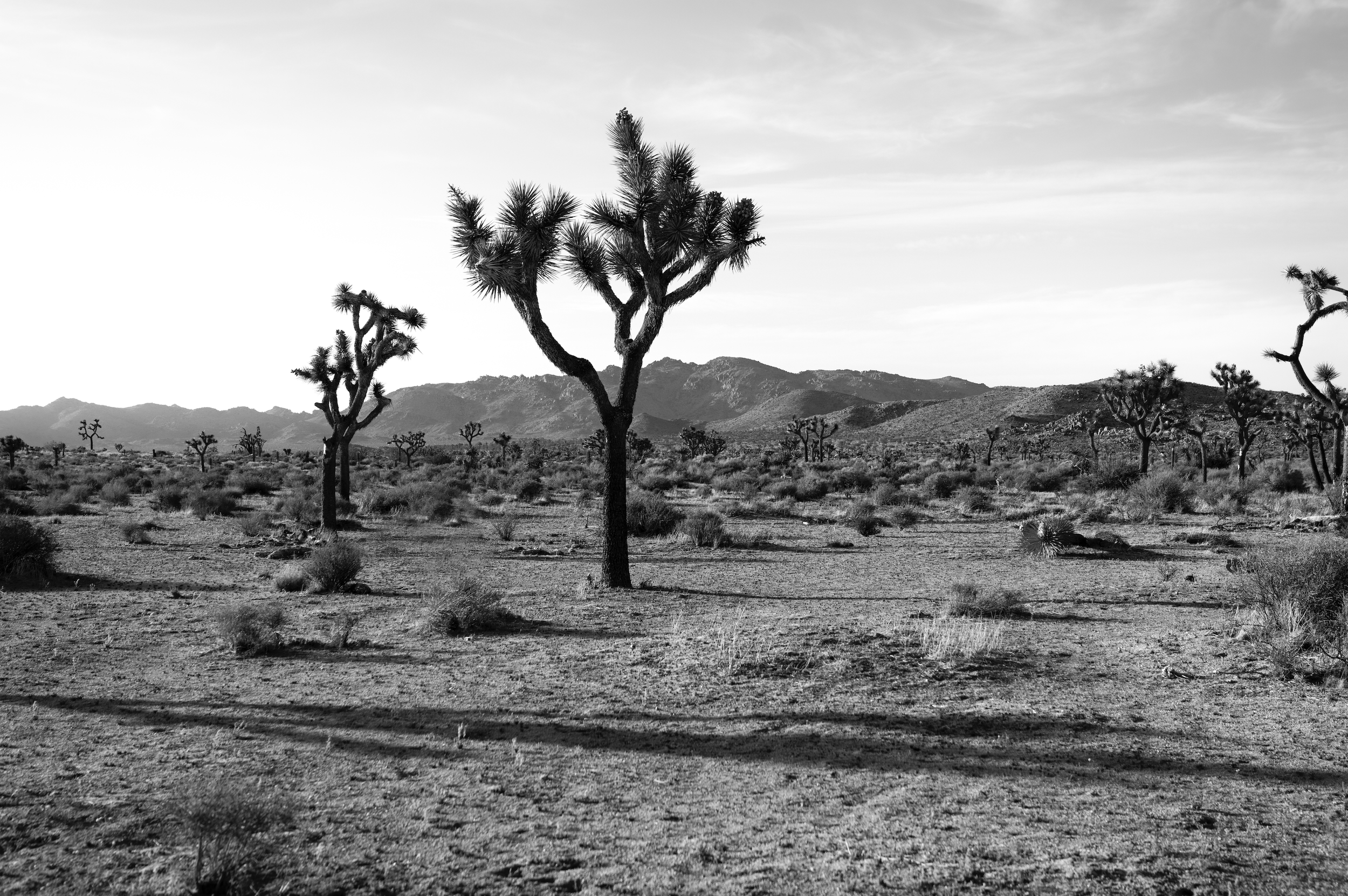 Screen Shot 2022-10-26 at 11.28.55 AM.png