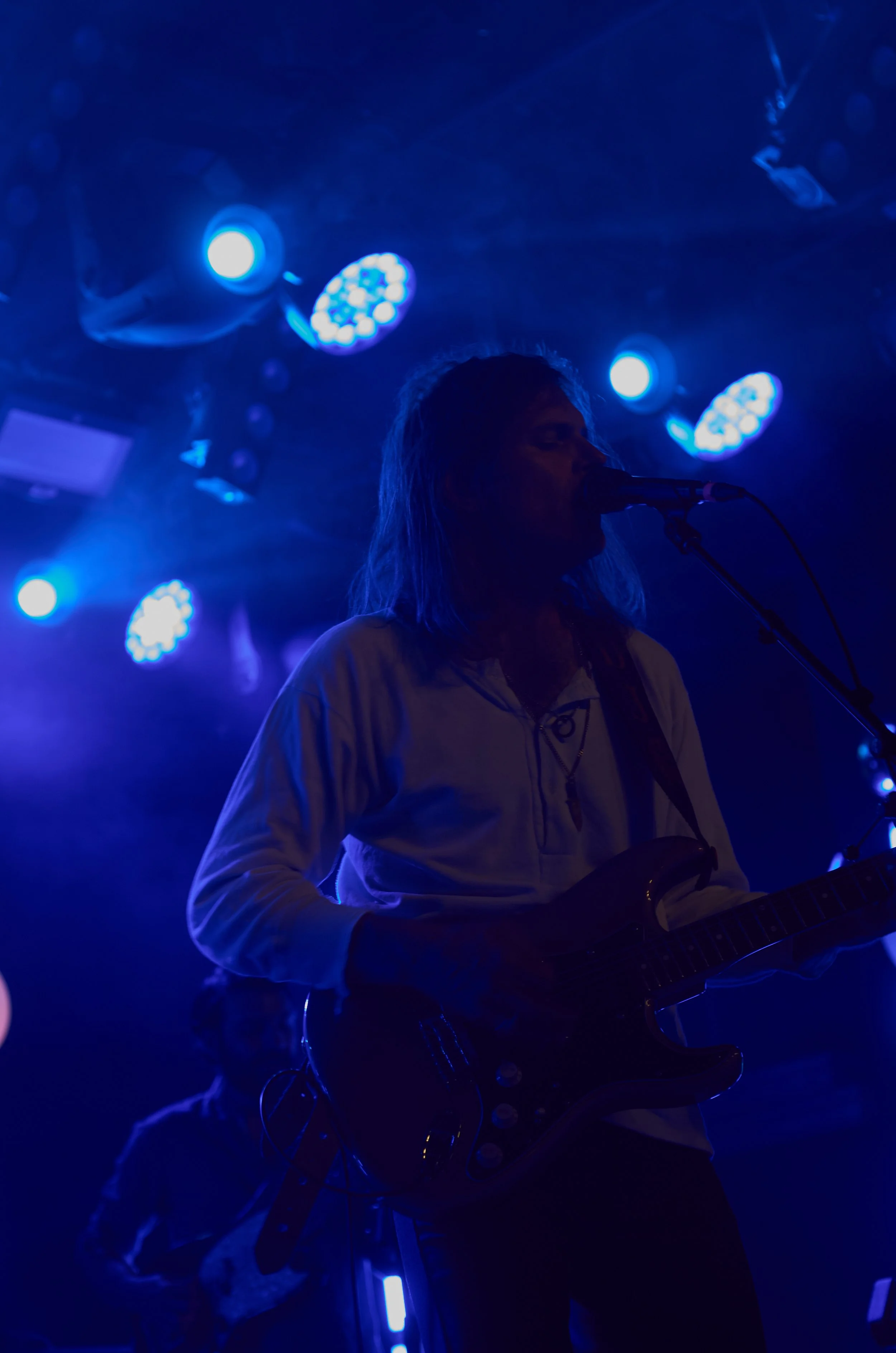 fruit_bats_05_09_24_75.JPG