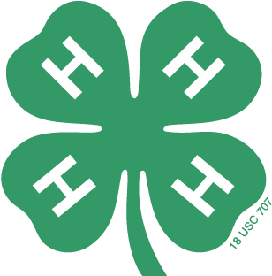 Holmes County 4-H