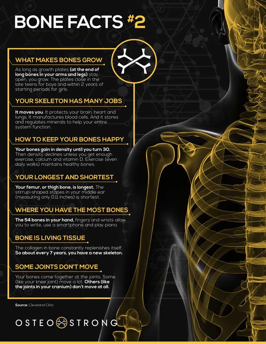 Bone Facts #2