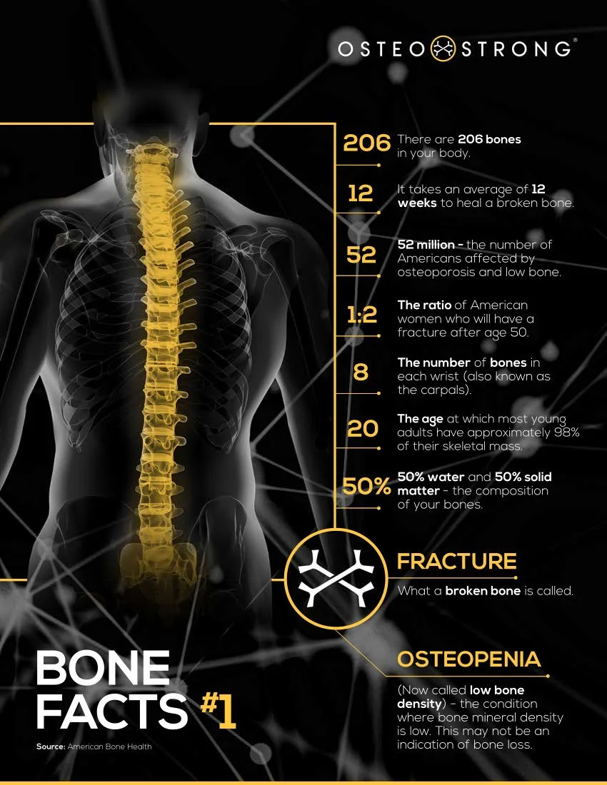 Bone Facts #1