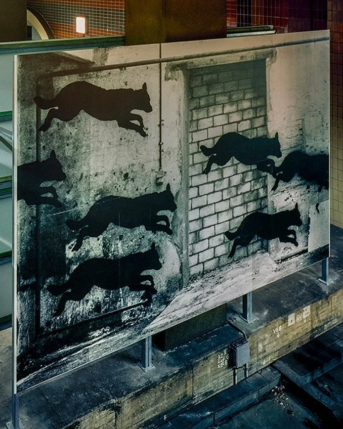 Vor &uuml;ber 40 Jahren startete das Programm &bdquo;Kunst im &ouml;ffentlichen Raum&ldquo; der Hamburger Kulturbeh&ouml;rde @bkm_hh . Das erste Gro&szlig;projekt, &bdquo;Halle 6&ldquo;, fand im Sommer 1982 als Skulpturenausstellung in einer riesigen