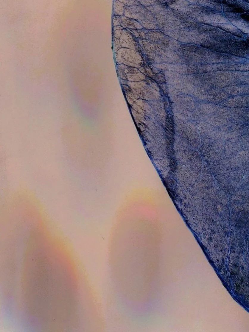 100 Jahre GEDOK

Heute Abend, 23. Januar er&ouml;ffnet um 19 Uhr die Ausstellung &bdquo;&hellip;da bl&uuml;ht uns was!- bl&uuml;hen, wachsen und vergehen in schwierigen Zeiten&ldquo; mit Arbeiten von 70 Hamburger GEDOK K&uuml;nstlerinnen im Kunstforu