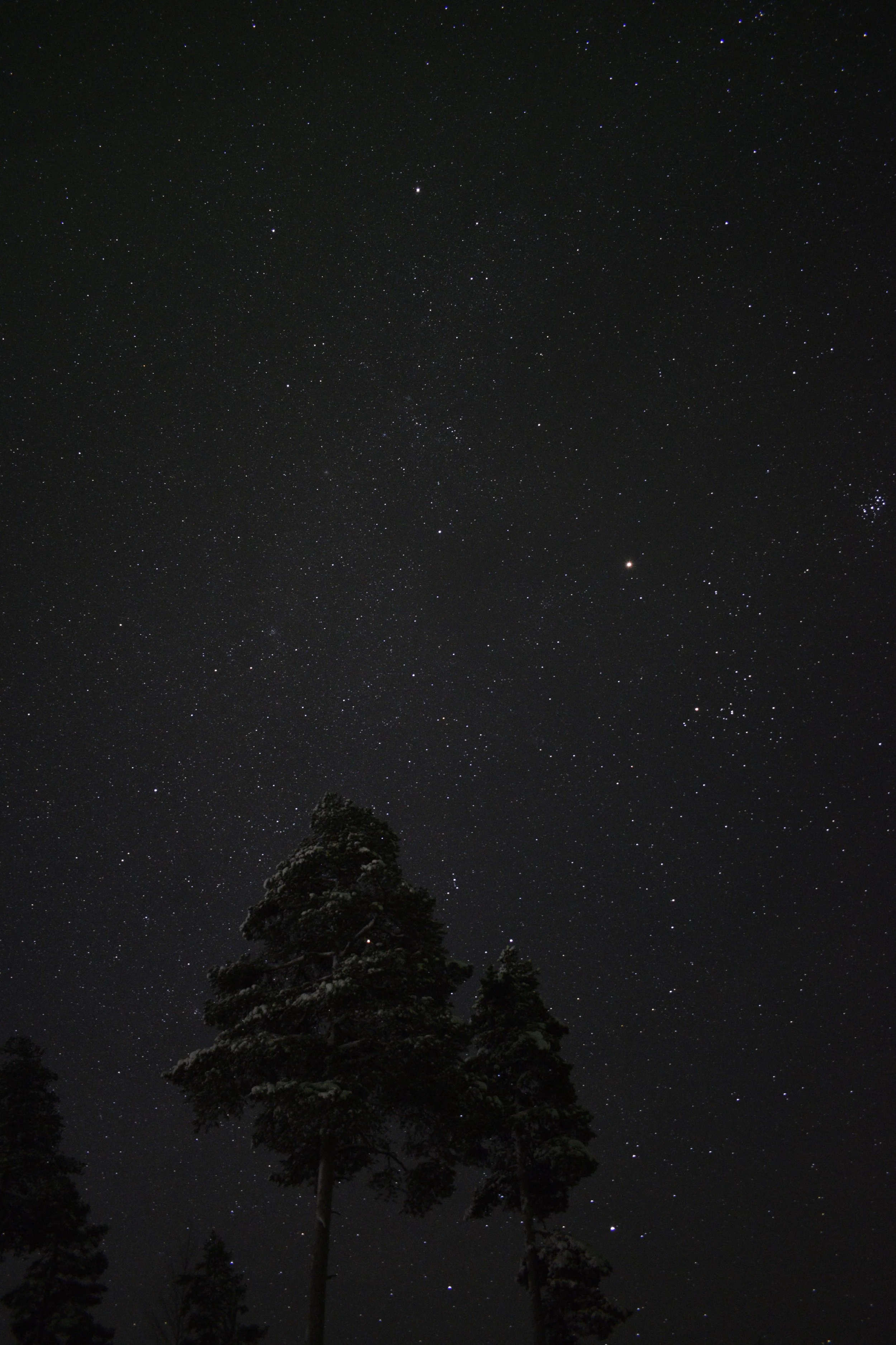 _DSC0148.JPG