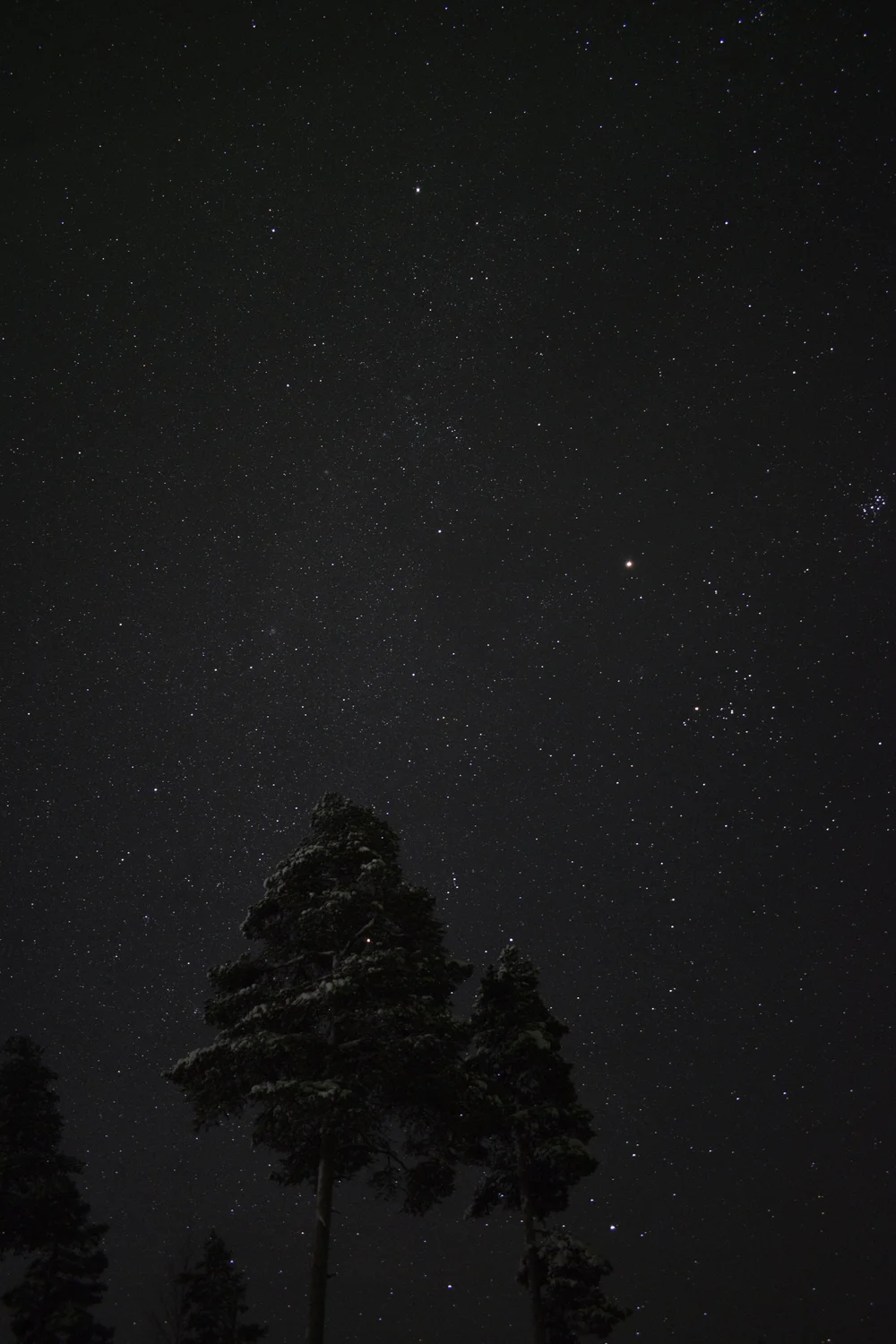 _DSC0148.JPG